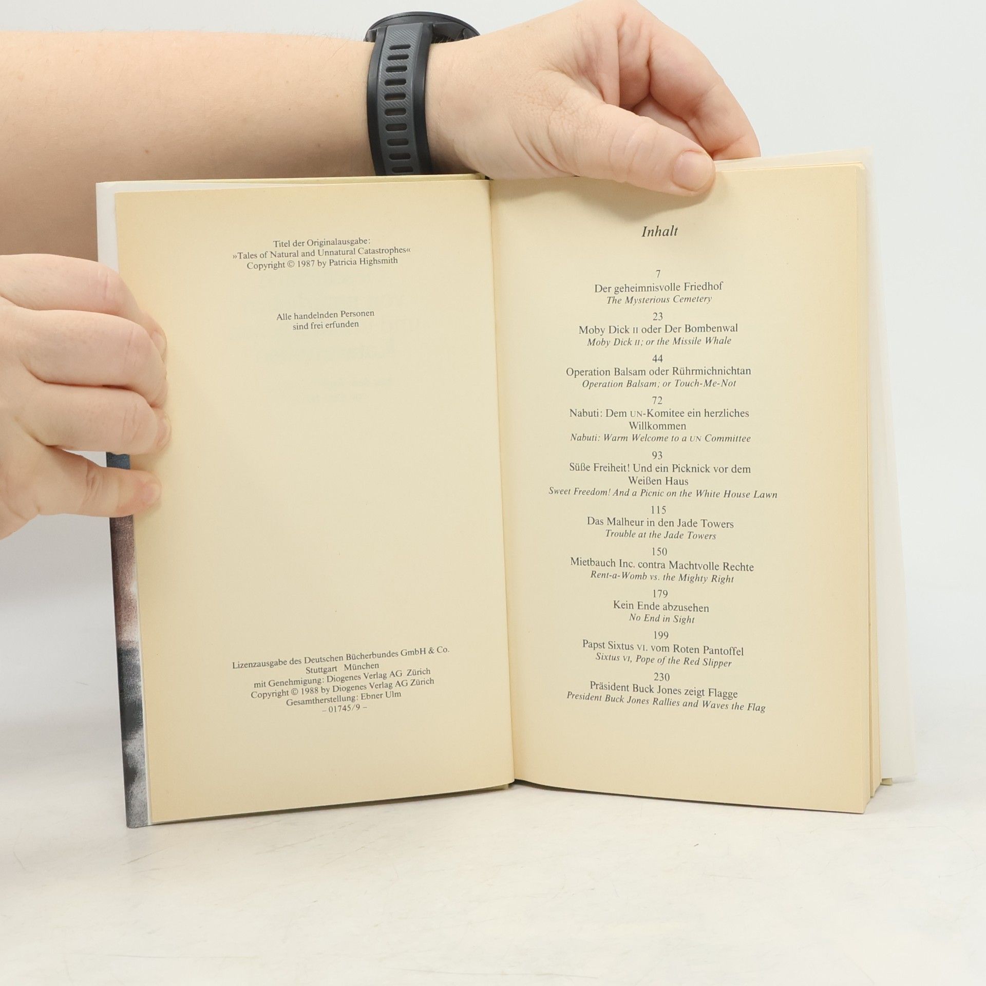 Patricia Highsmith Geschichten von natürlichen und unnatürlichen Katastrophen