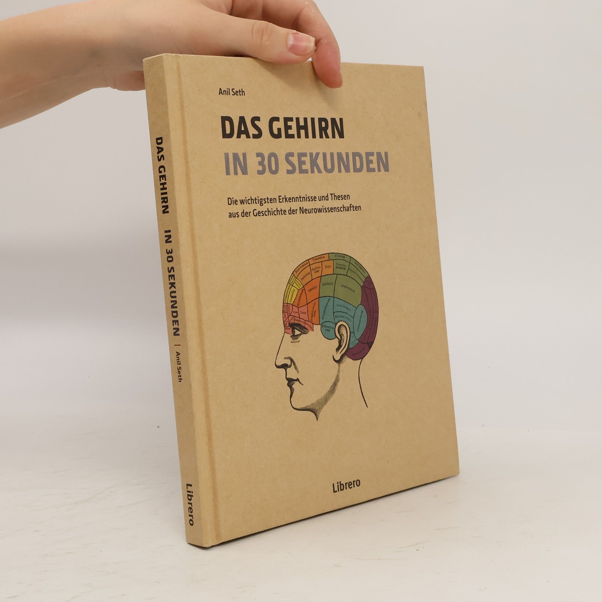 Icon Books Ltd Das Gehirn in 30 Sekunden