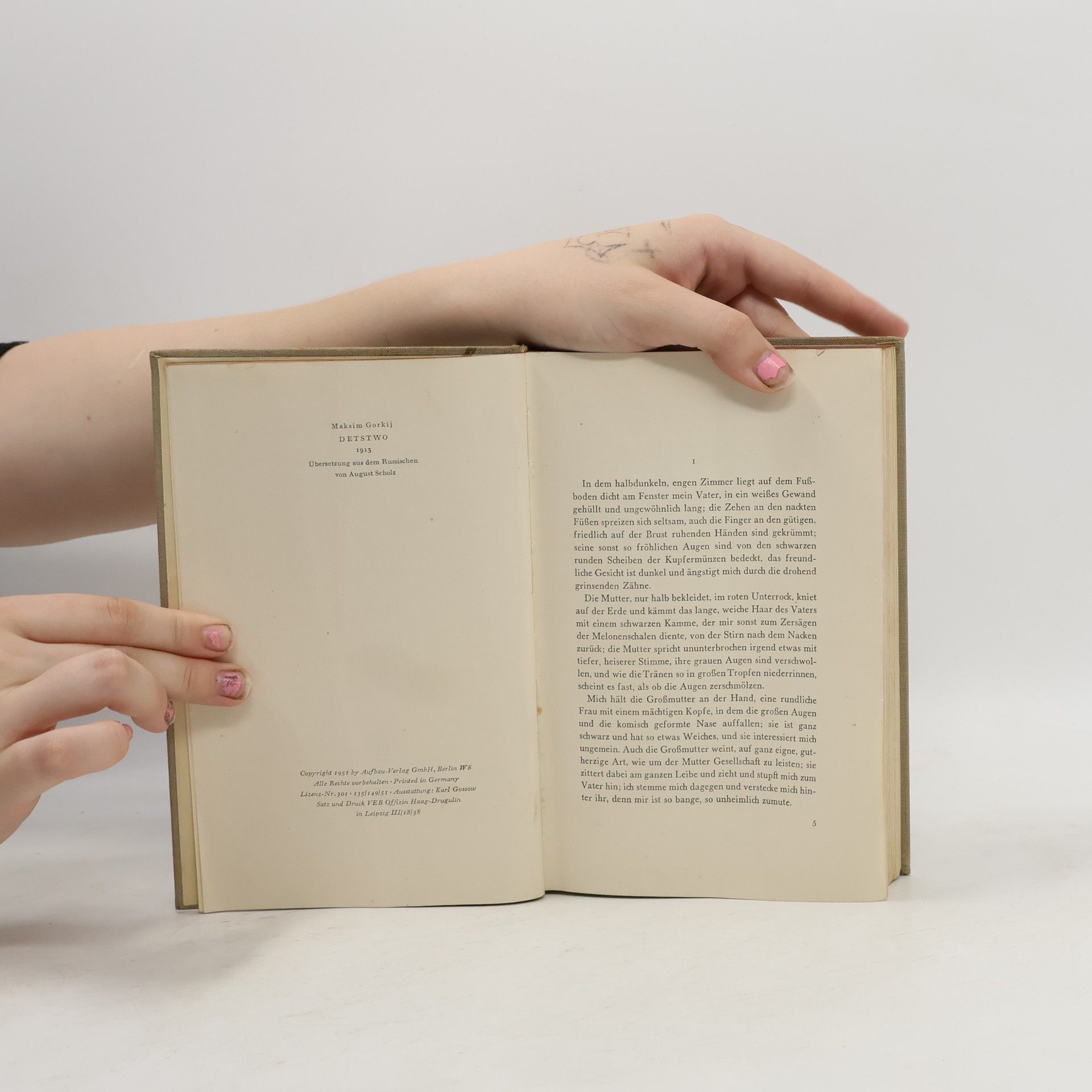 Maxim Gorky Meine Kindheit