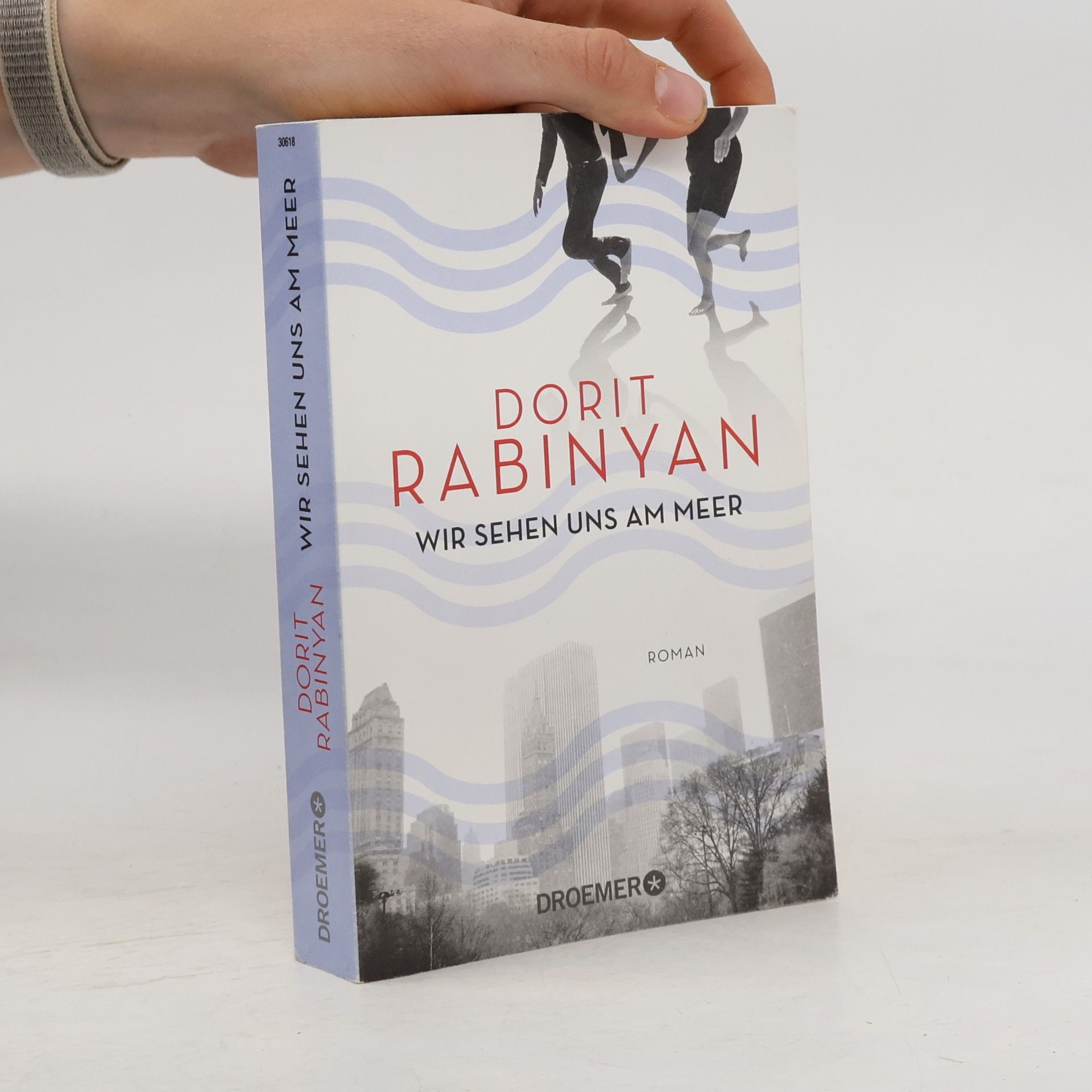 Dorit Rabinyan Wir sehen uns am meer