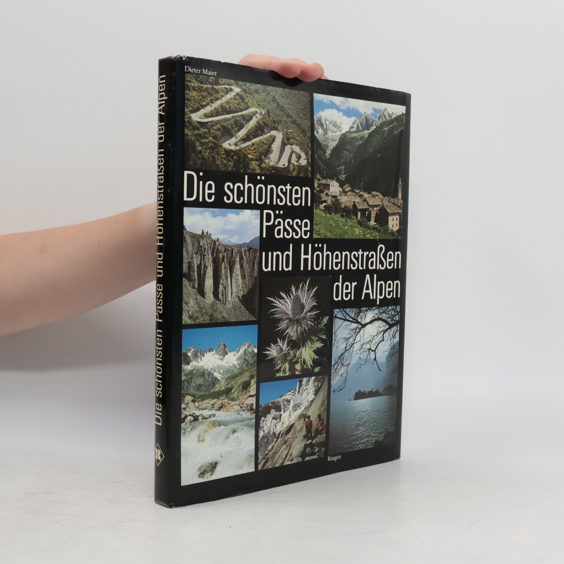 Dieter Maier Die schönsten Pässe und Höhenstraßen der Alpen