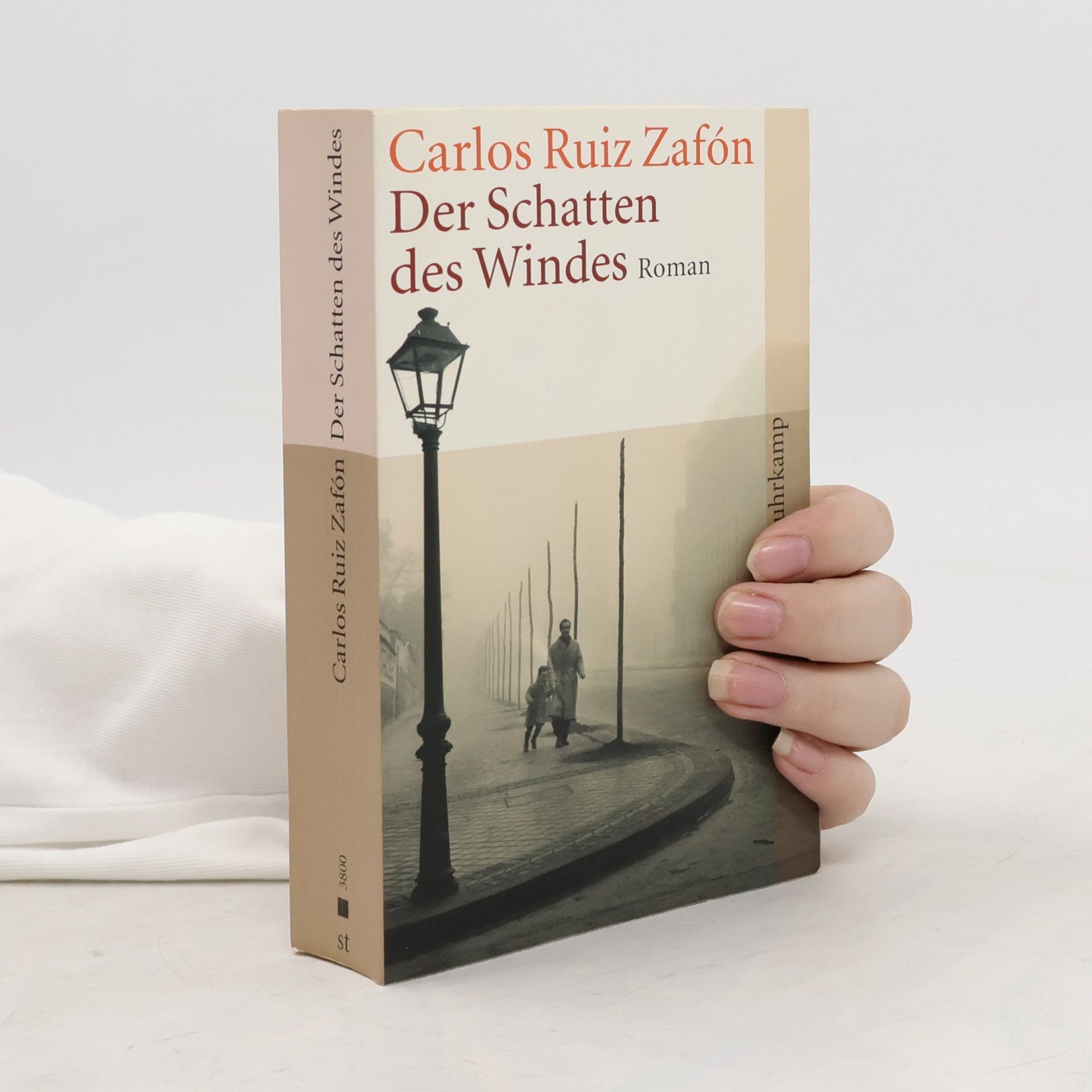 Der Schatten des Windes