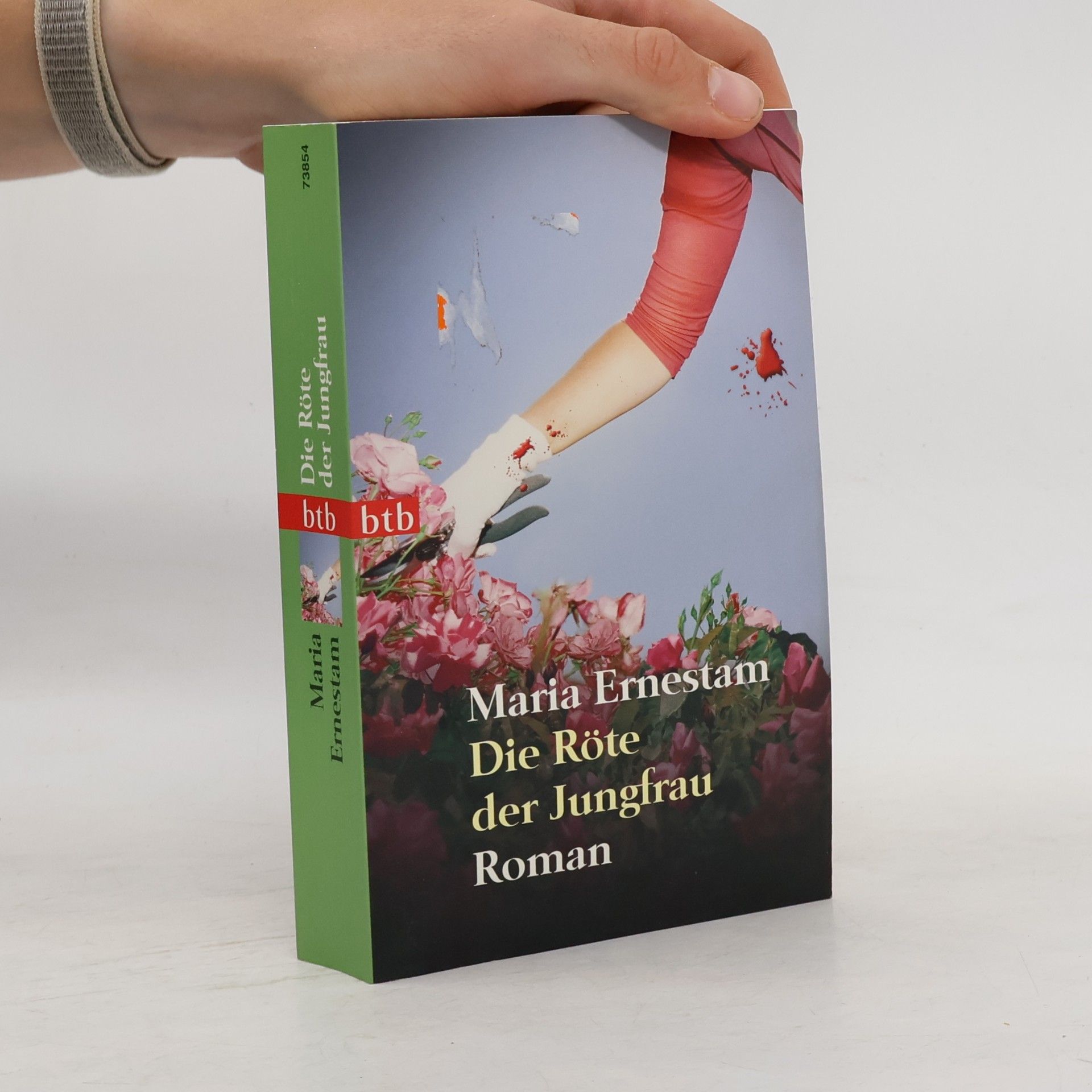 Maria Ernestam Die Röte der Jungfrau