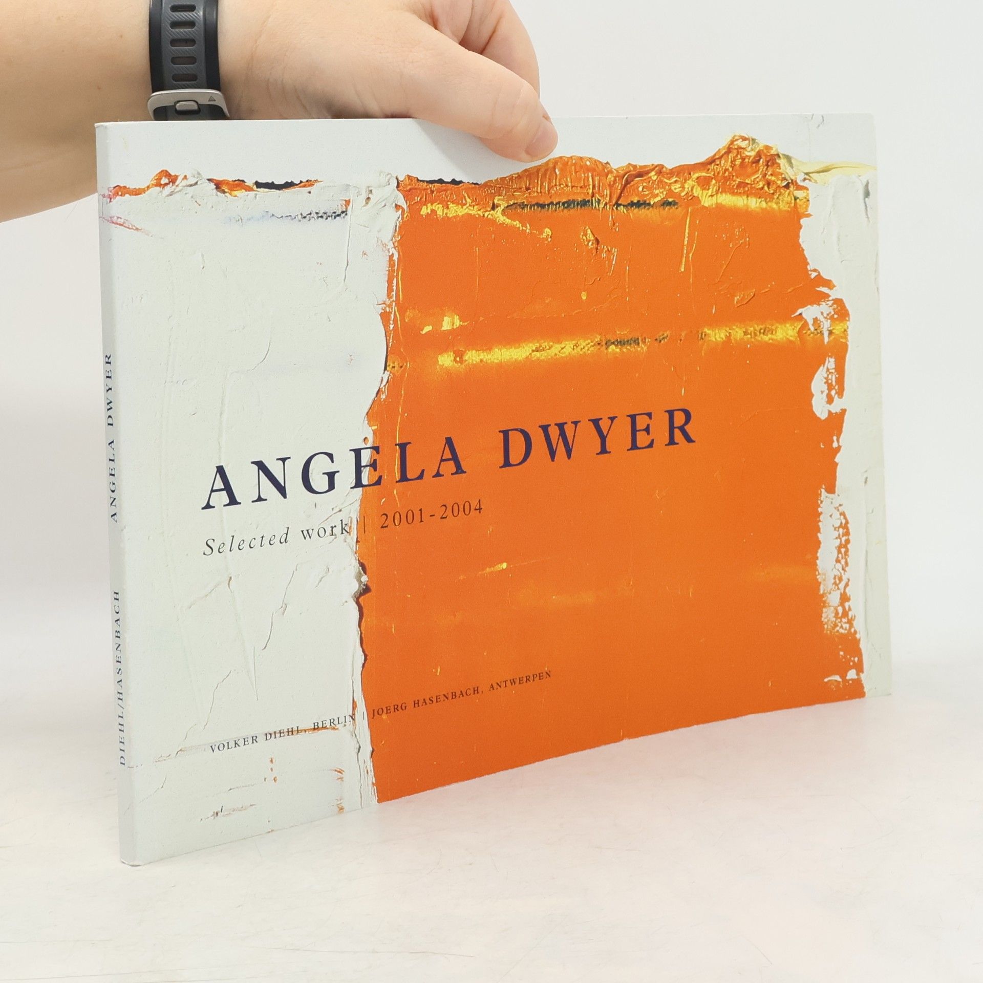 kolektiv Angela Dwyer: Selected Work 2001-2004