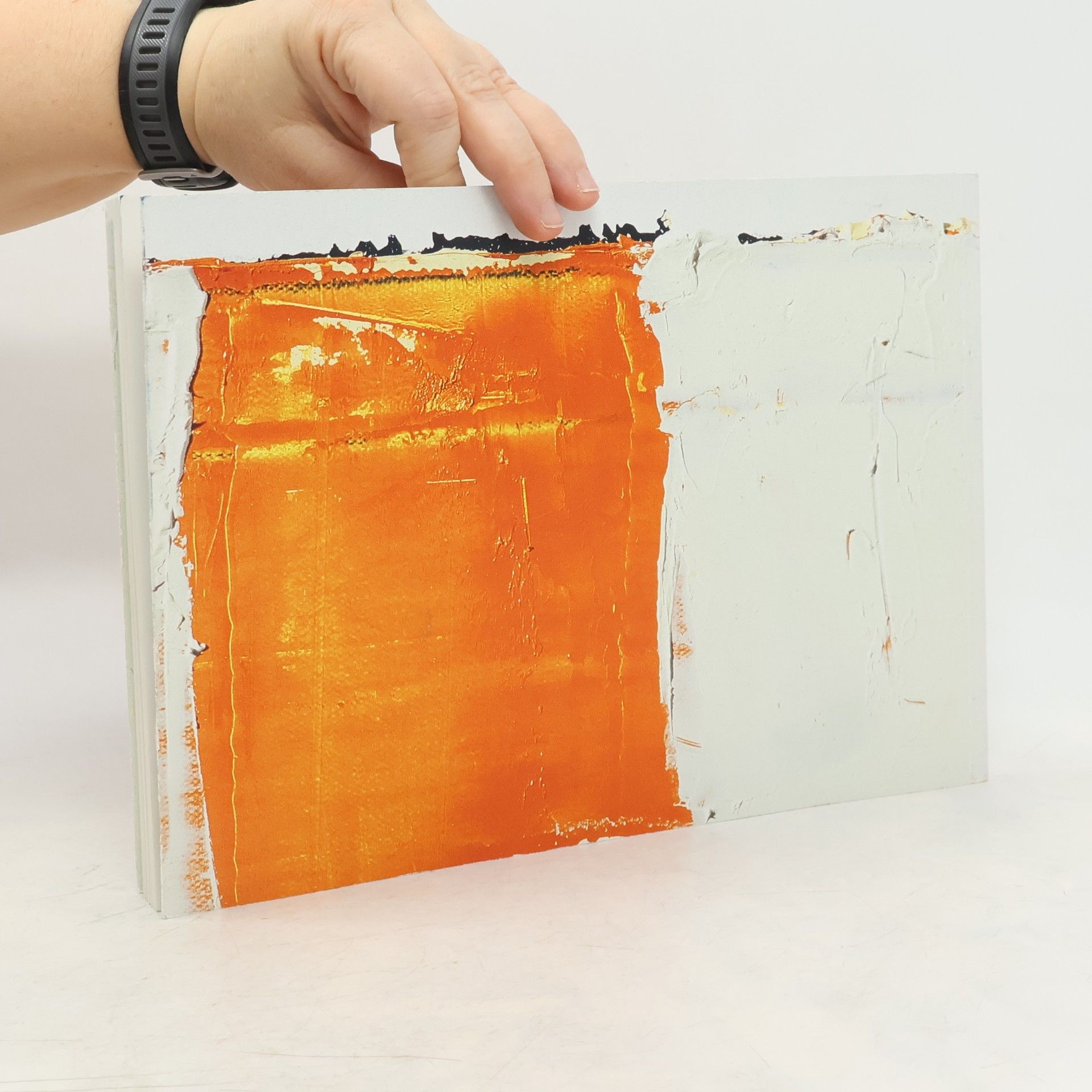 kolektiv Angela Dwyer: Selected Work 2001-2004