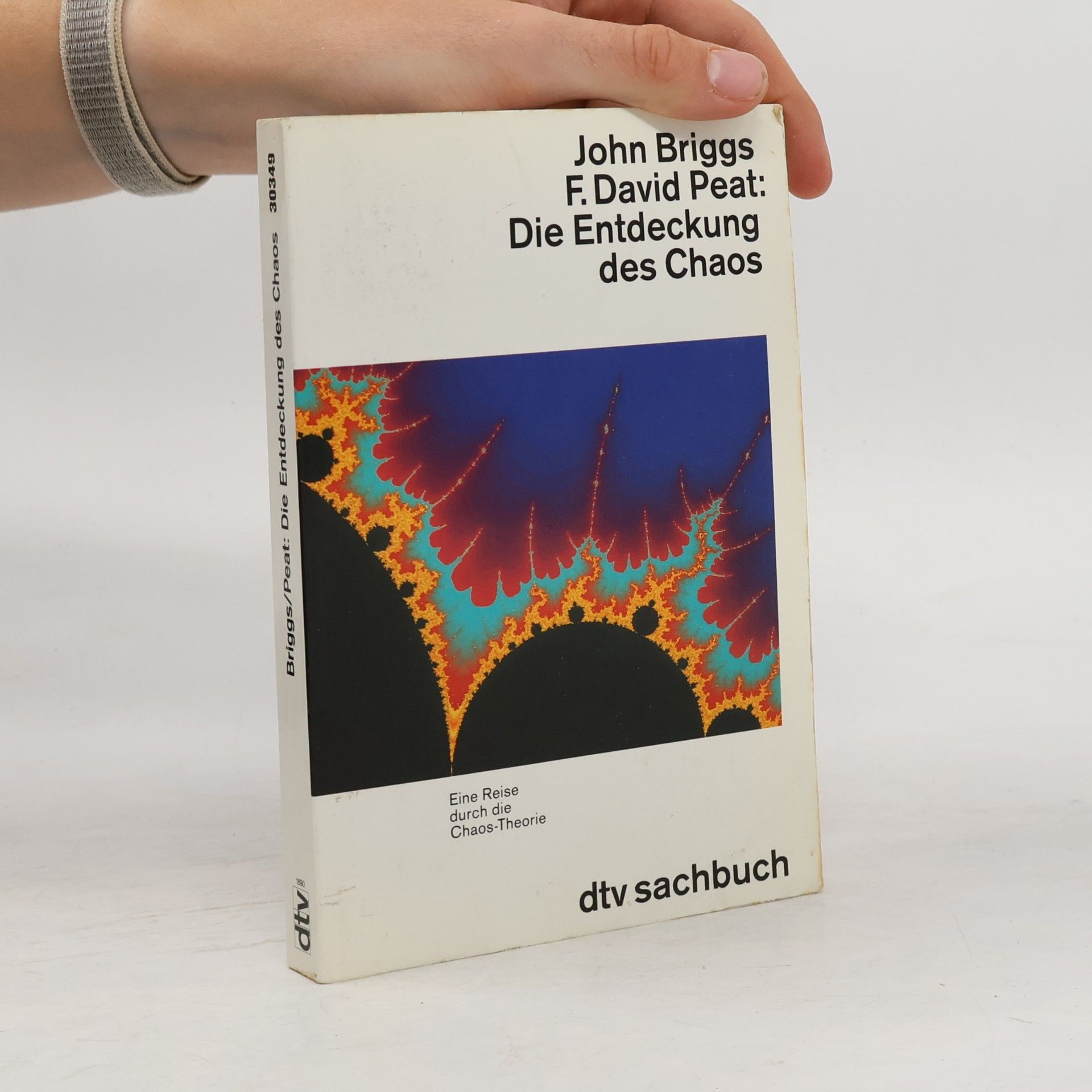 John P. Briggs Die Entdeckung des Chaos