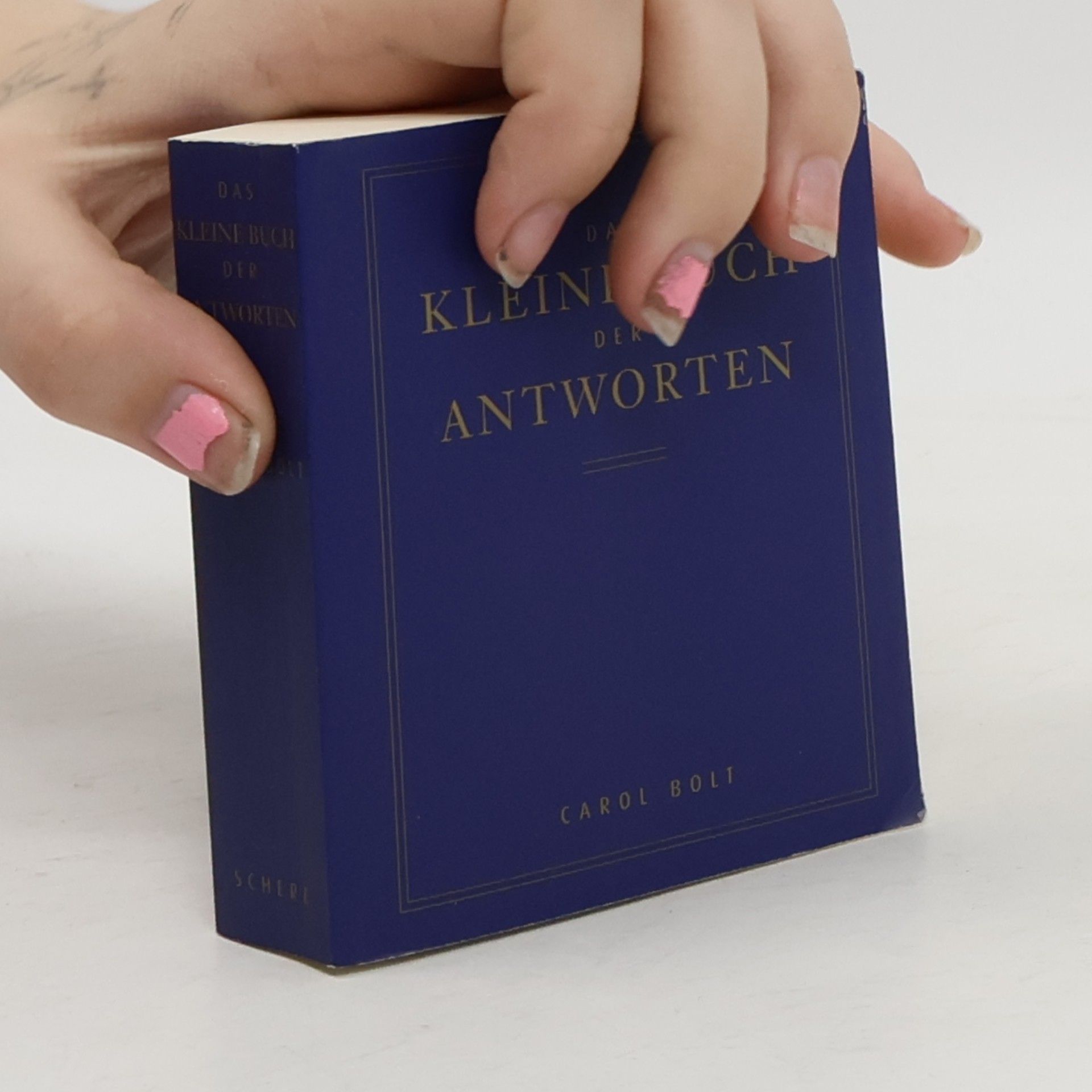 Carol Bolt Das kleine Buch der Antworten