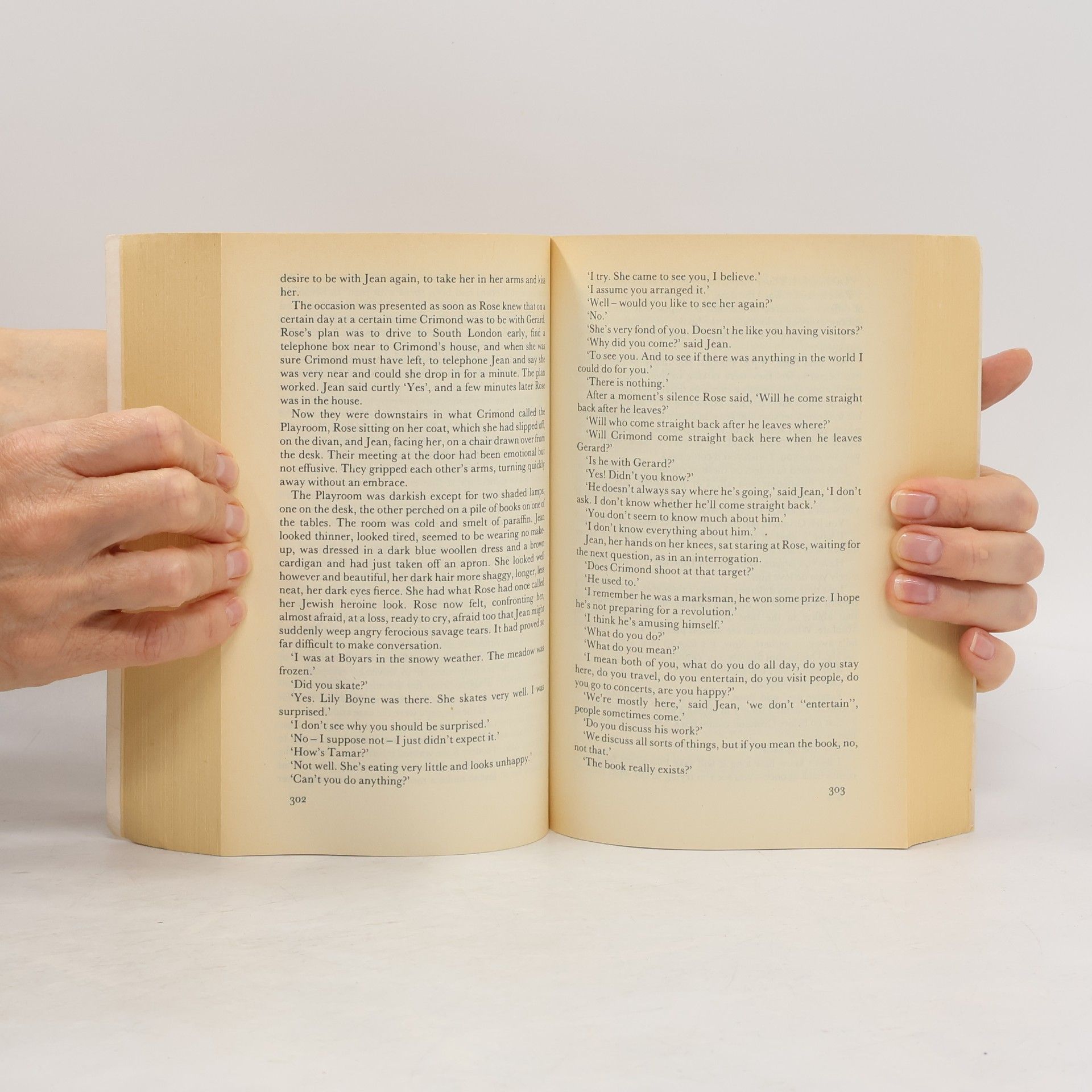Iris Murdoch The Book and the Brotherhood