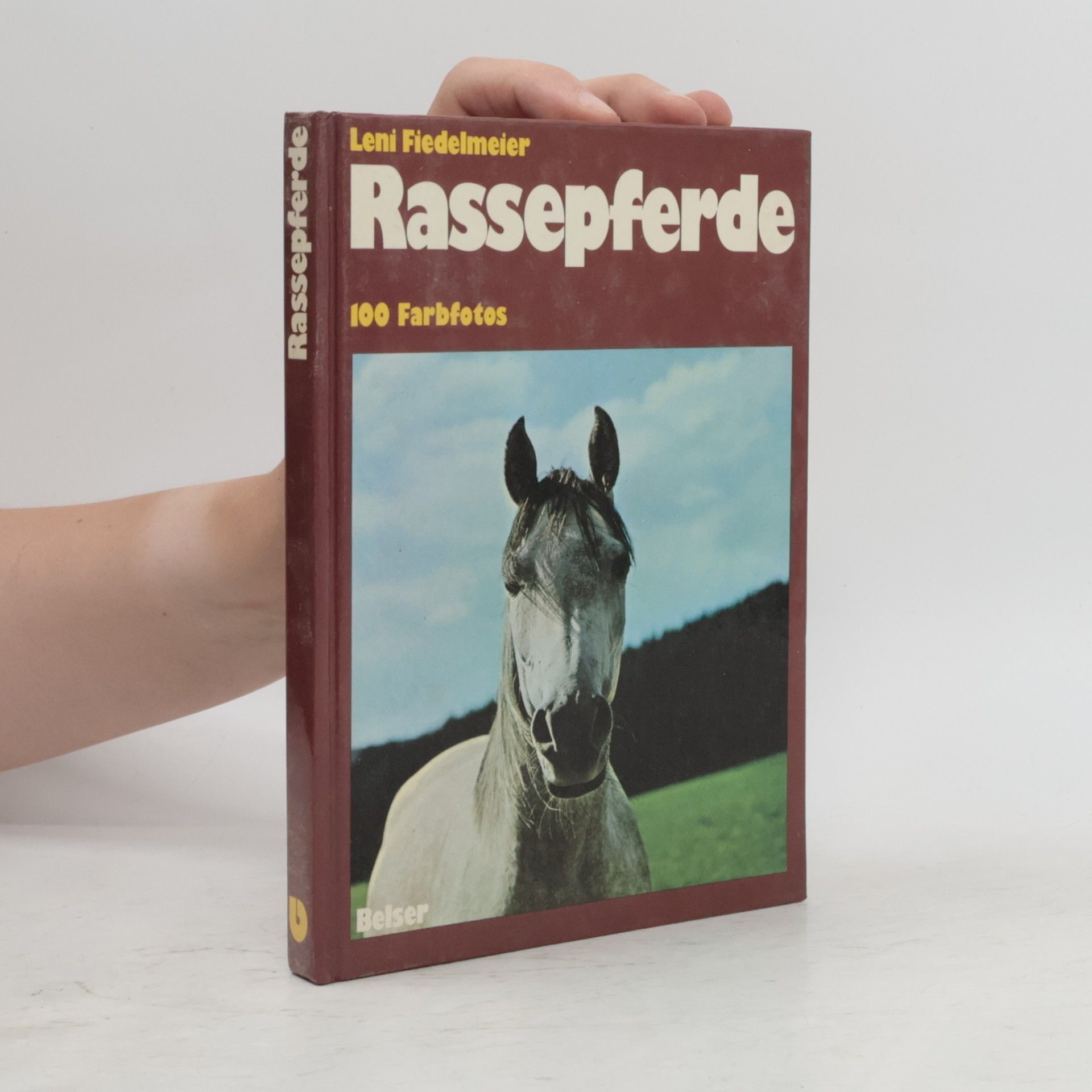 Leni Fiedelmeier Rassepferde