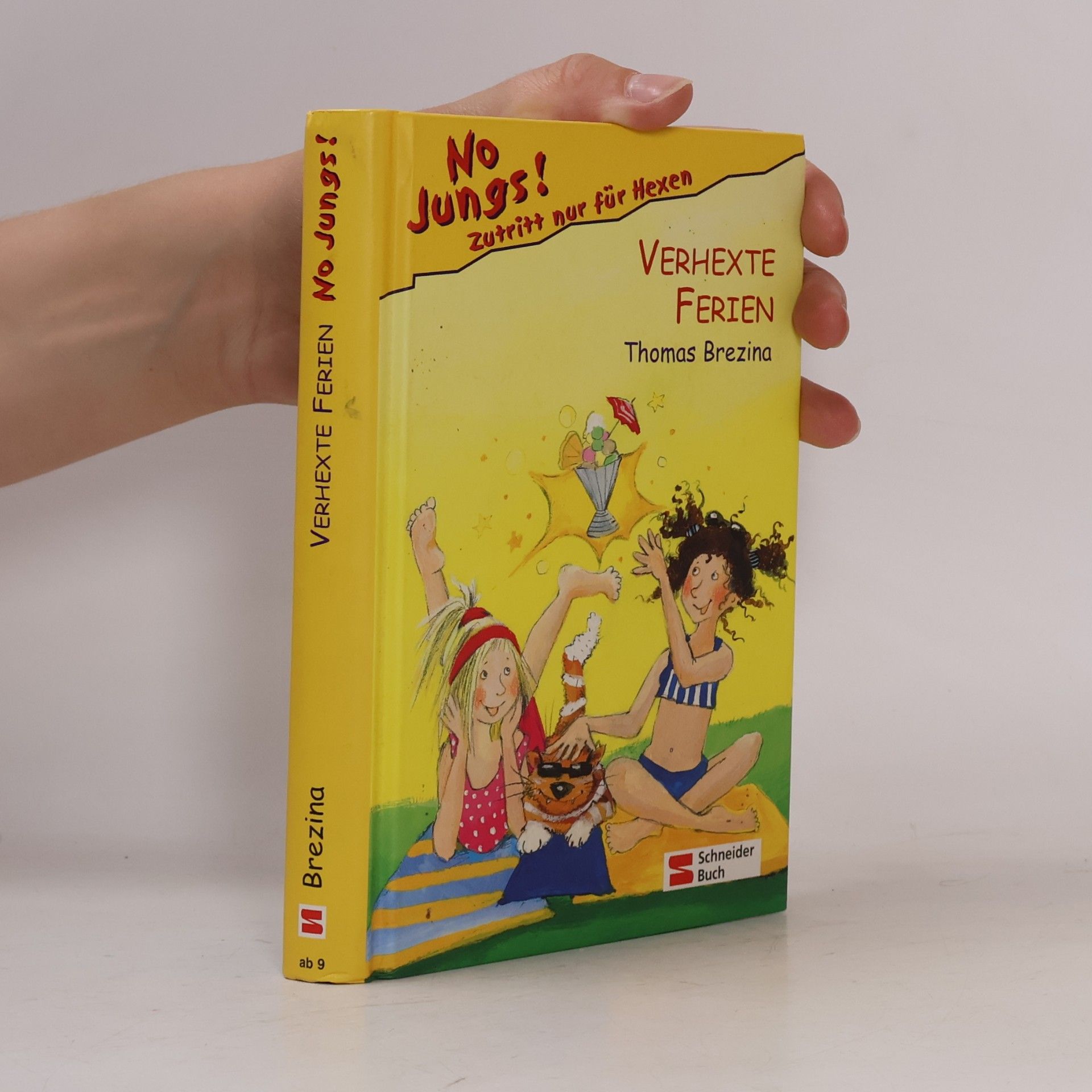 Thomas Brezina No Jungs! Verhexte Ferien