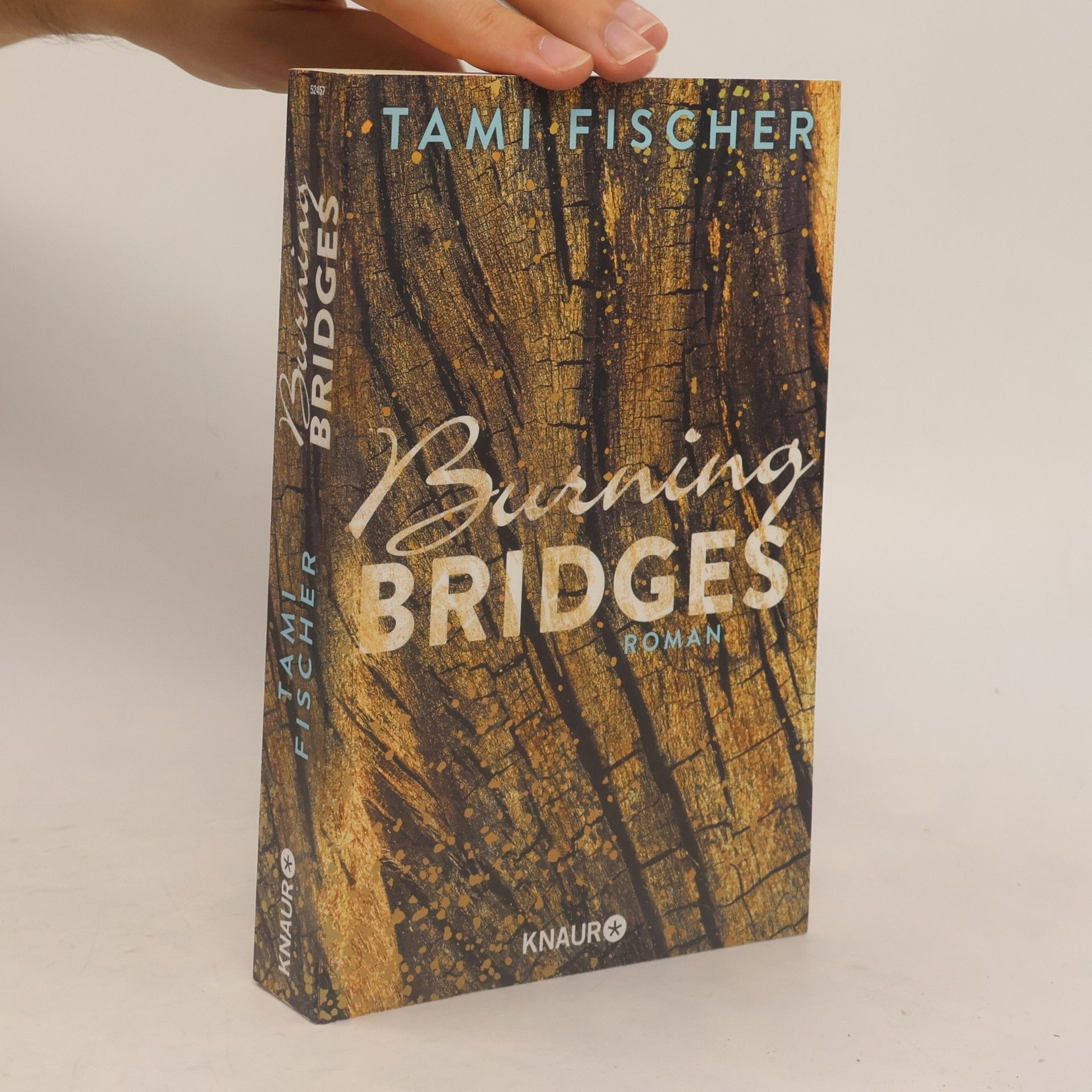 Tami Fischer Burning bridges