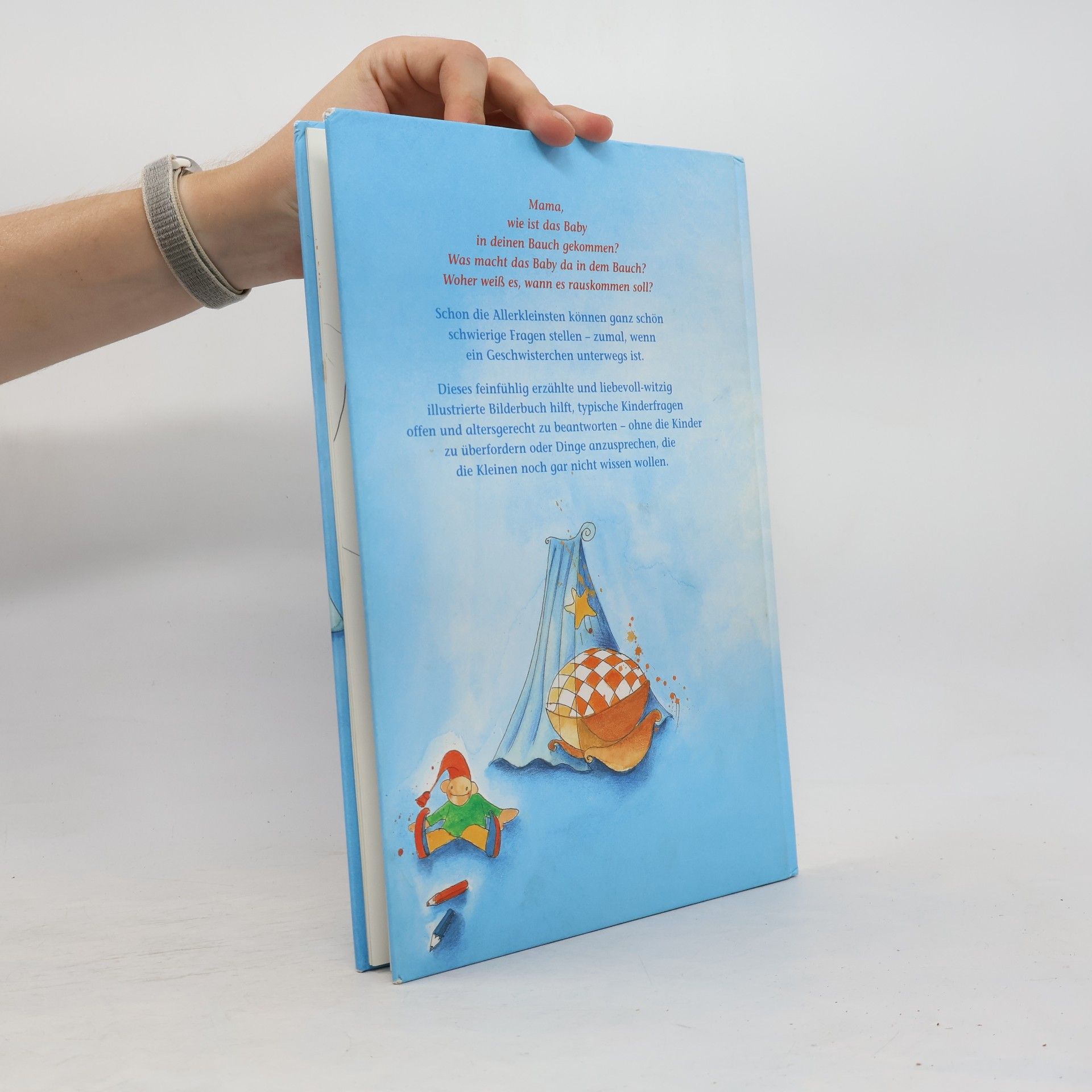 Angela Reinders Das MamaPapaBabyBuch