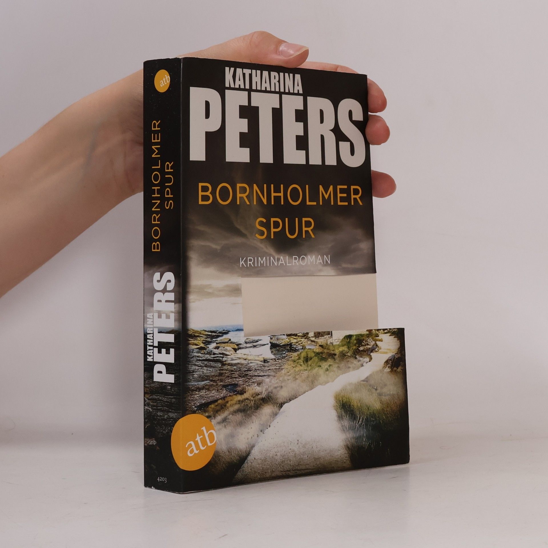 Katharina Peters Bornholmer Spur