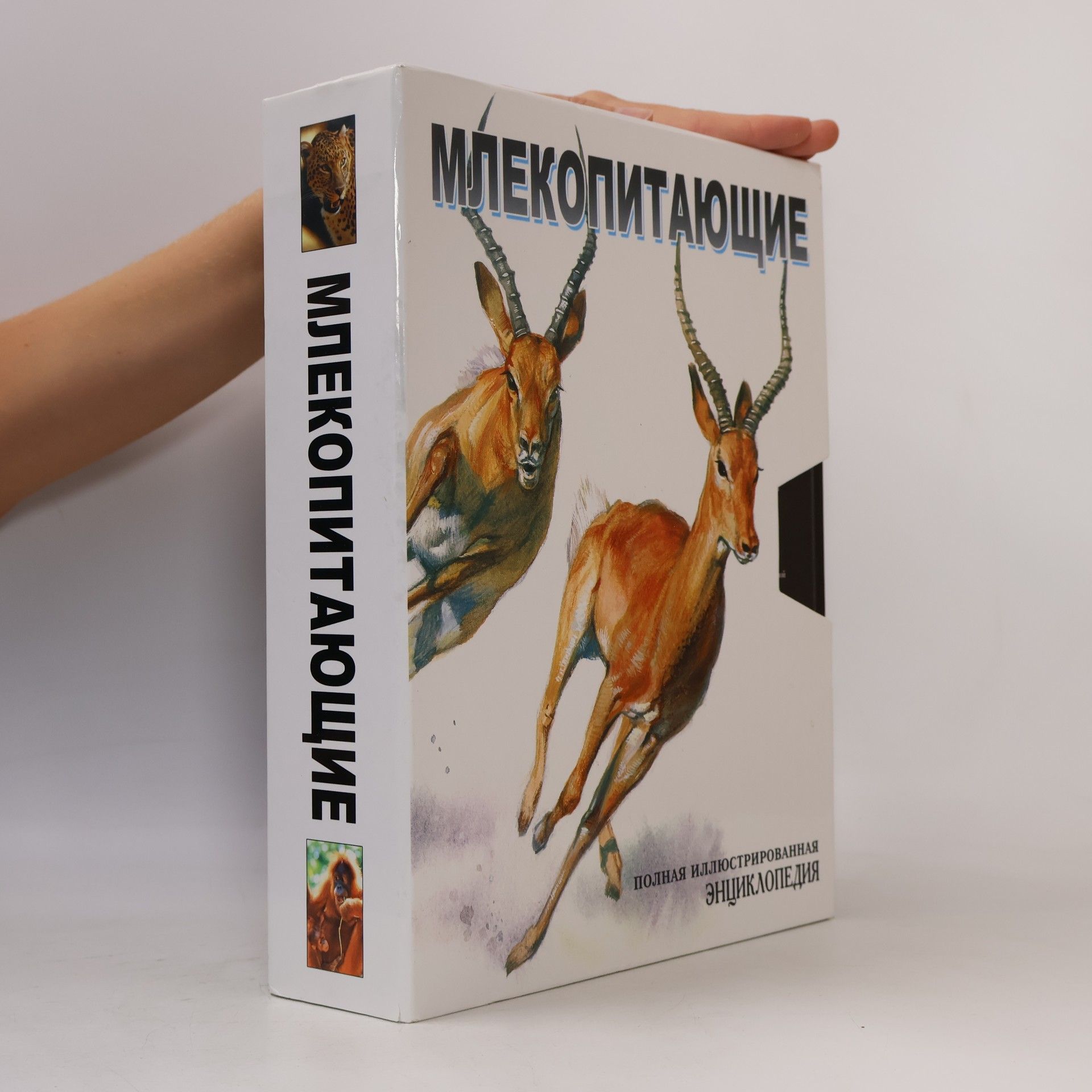 Kolektív autorov Млекопитающие