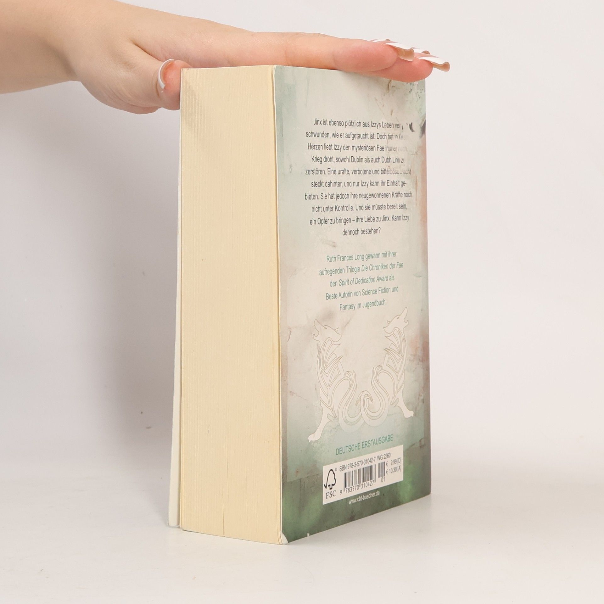 Ruth Frances Long Die Chroniken der Fae - durch Himmel und Hölle