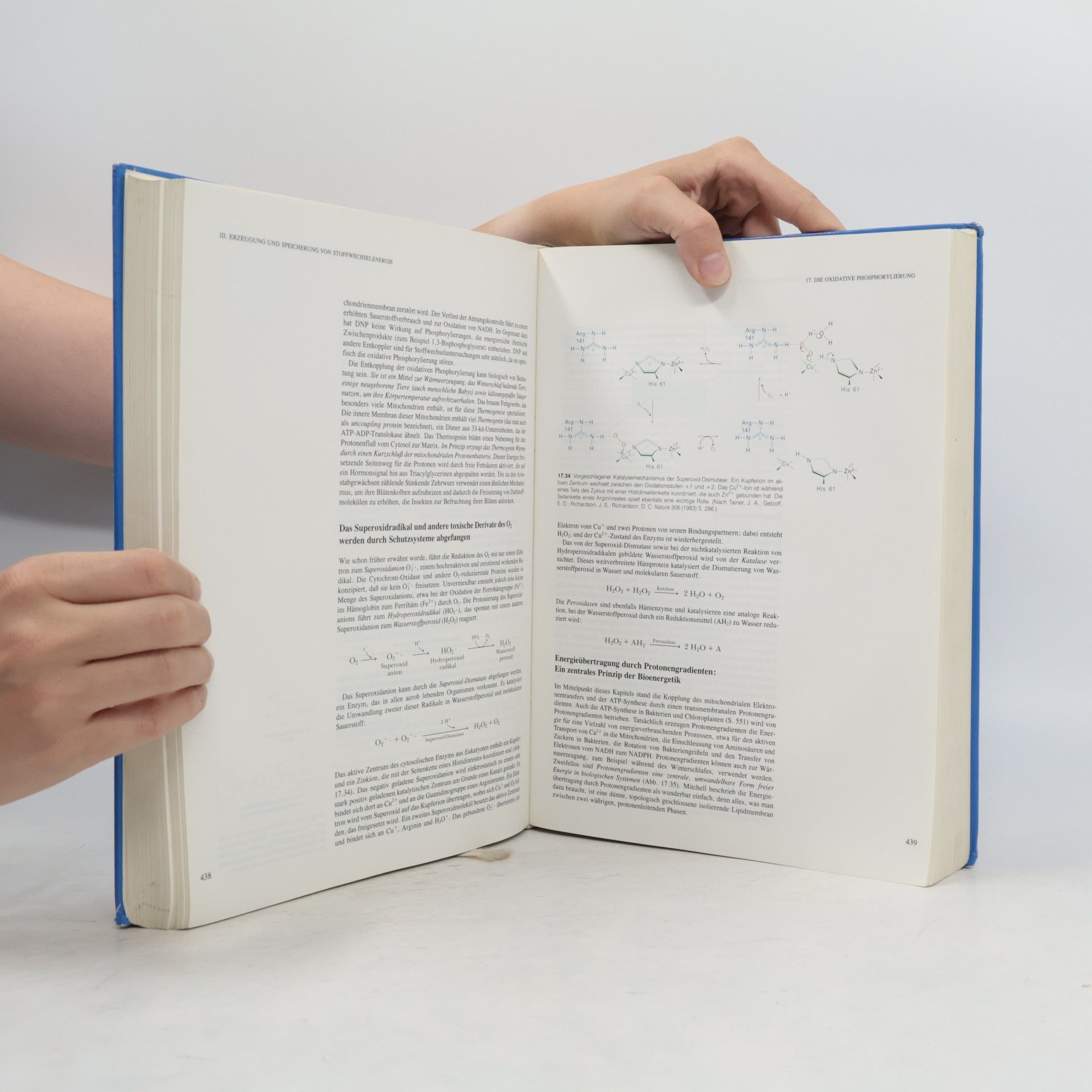 Lubert Stryer Biochemie