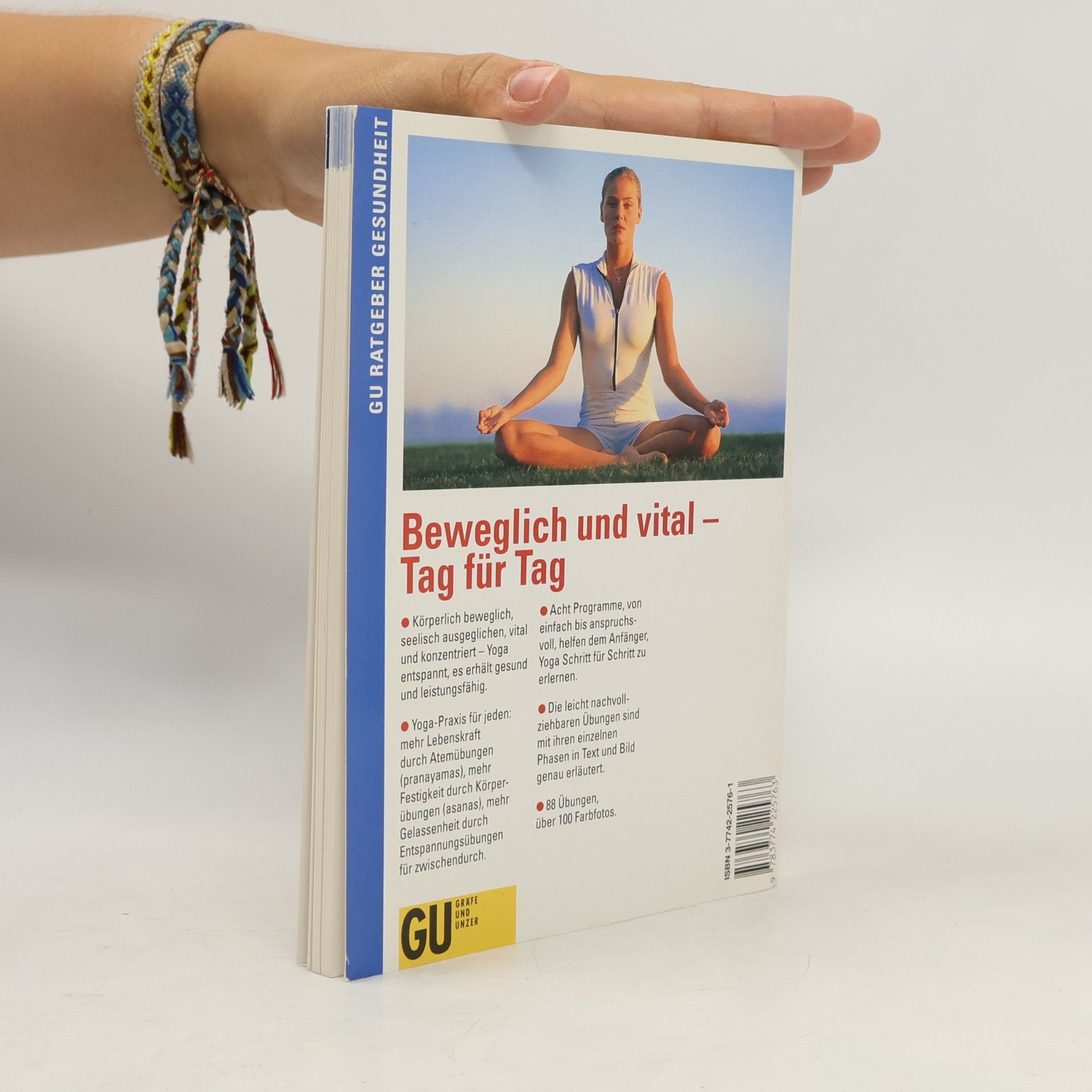 Harry Waesse Yoga für Anfänger
