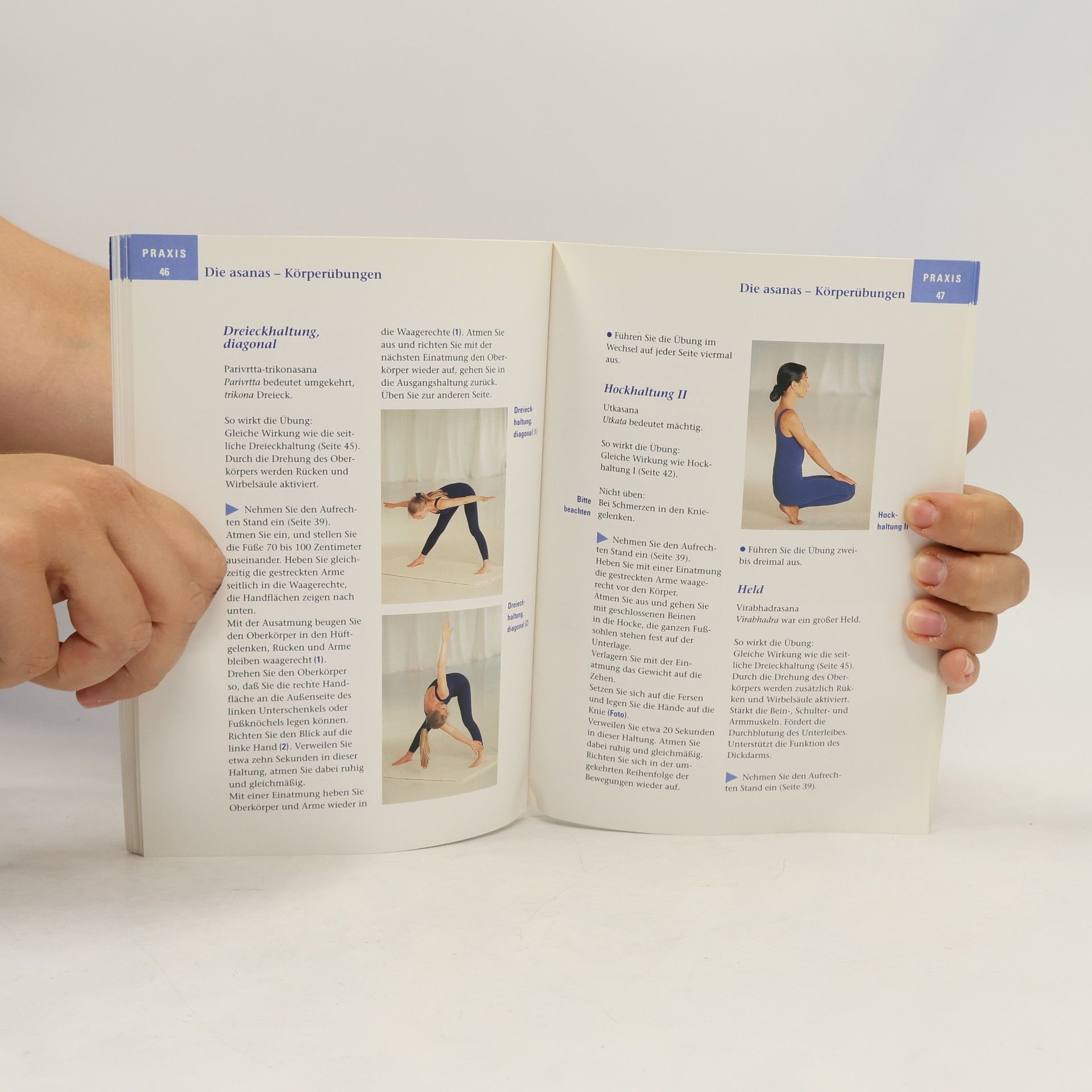 Harry Waesse Yoga für Anfänger