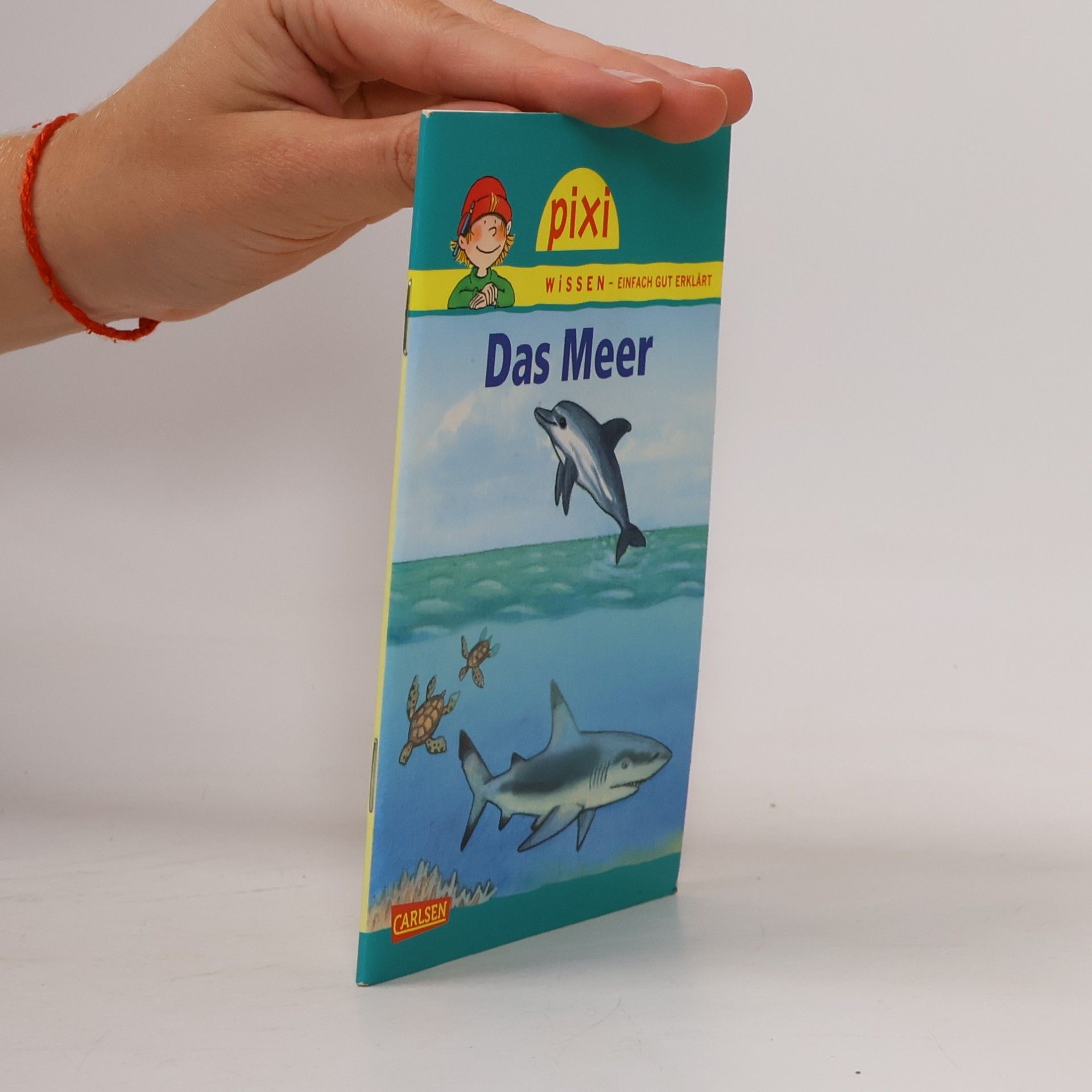 Brigitte Hoffmann Das Meer