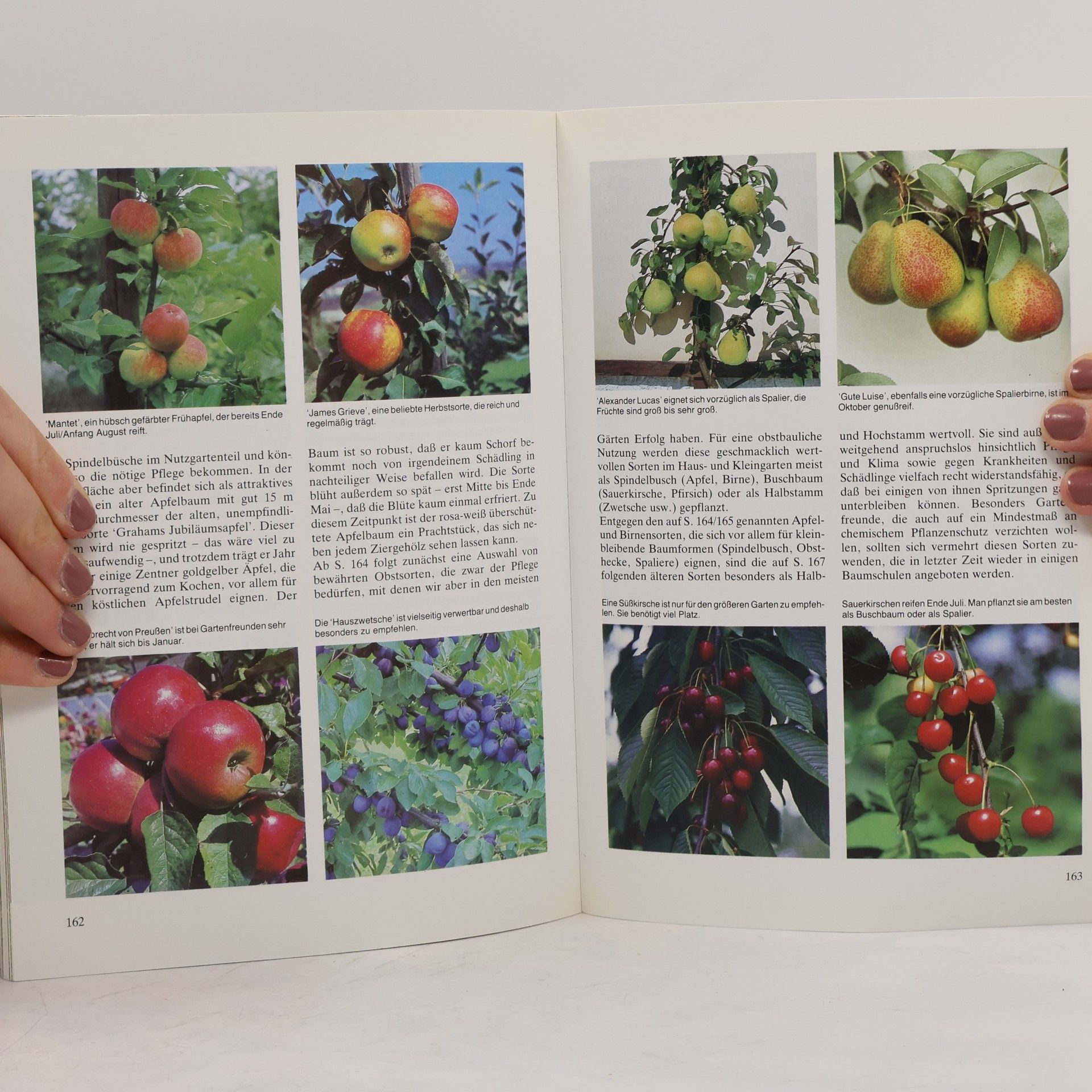 Martin Stangl Mein Hobby, der Garten