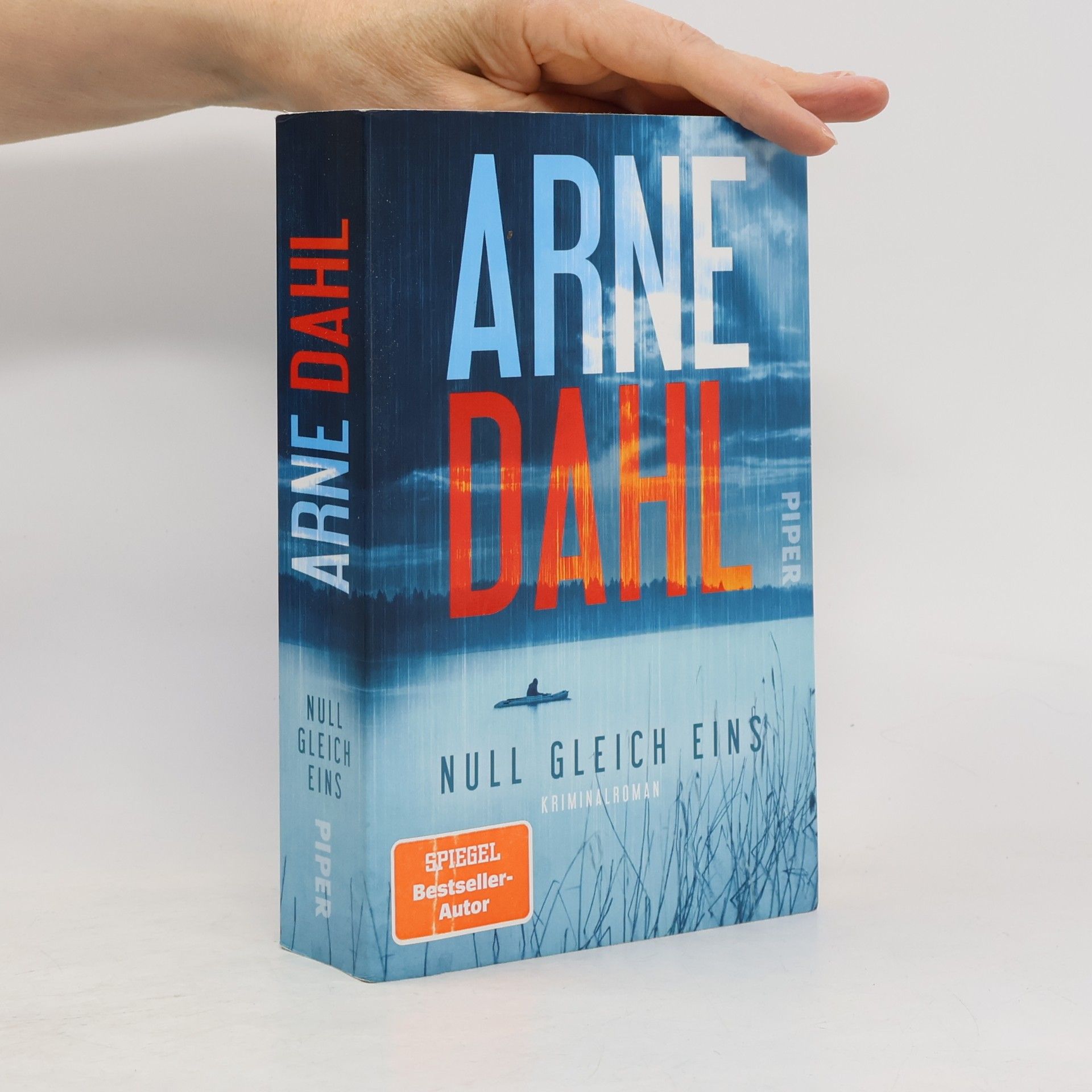Arne Dahl Null gleich eins