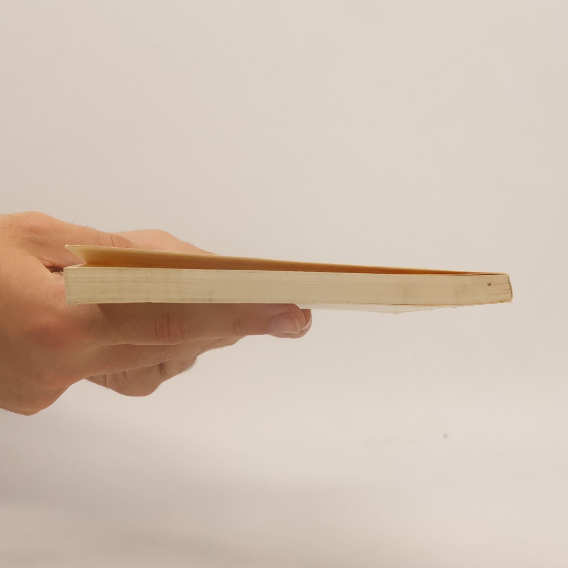 Martin Luther Die gantze Heilige Schrifft Deudsch 1545 II