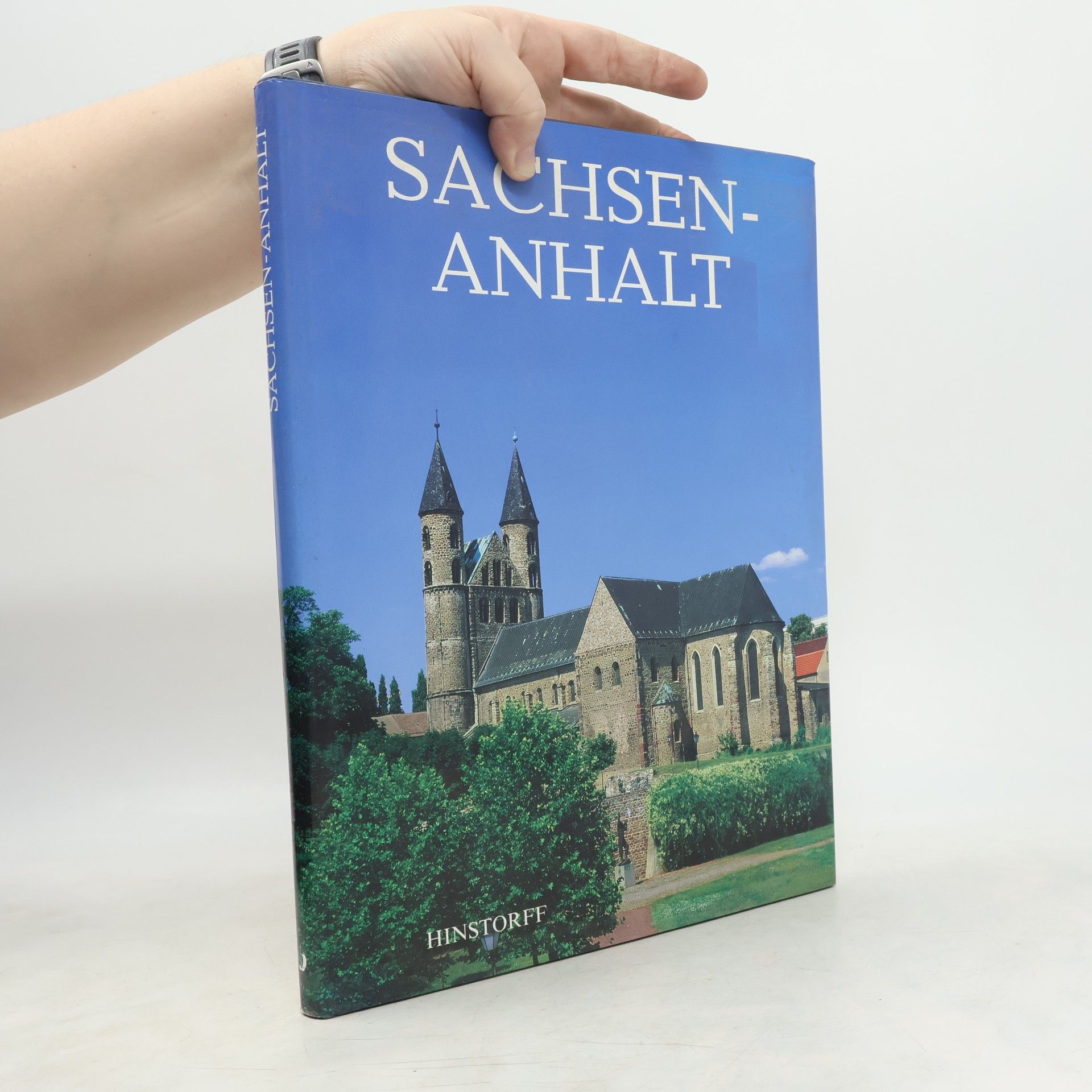 Roger Rössing Sachsen-Anhalt
