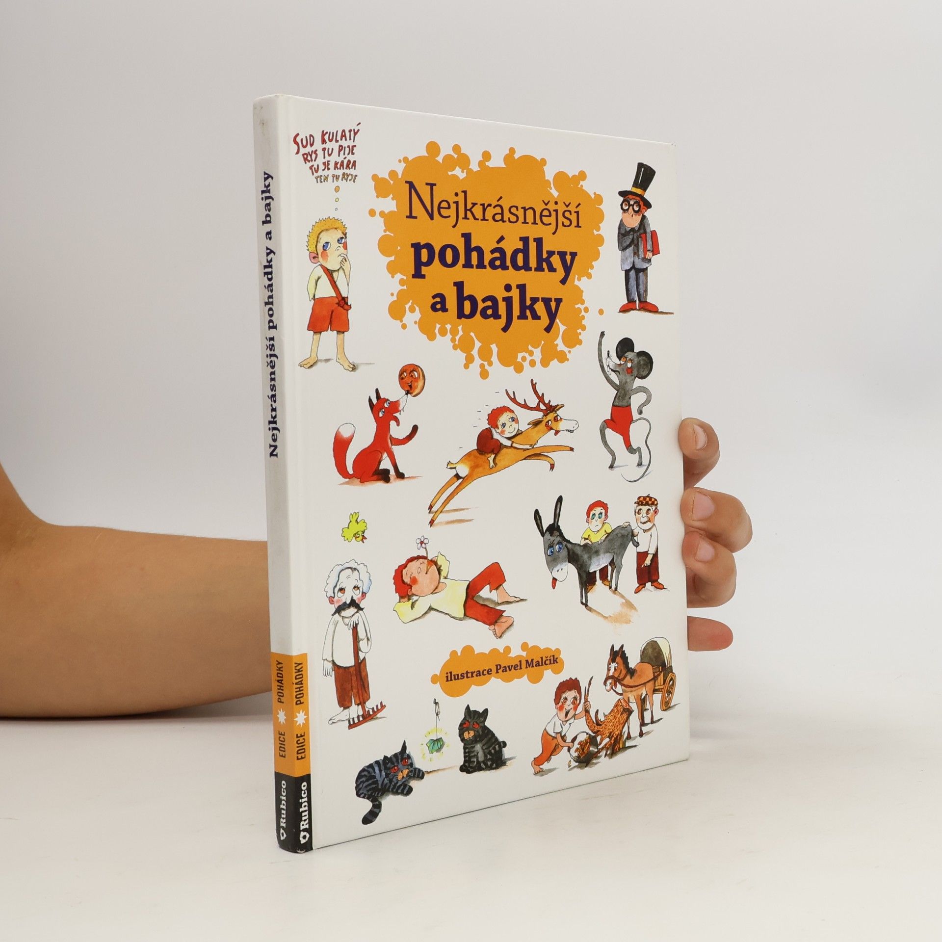 Autorenkollektiv Nejkrásnější pohádky a bajky