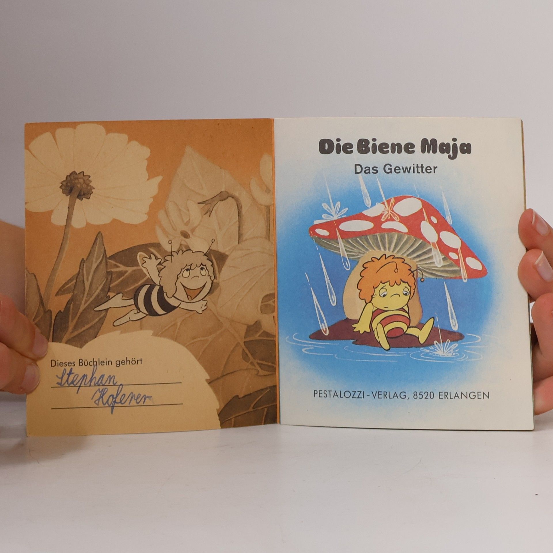 Waldemar Bonsels Die Biene Maja: Das Gewitter