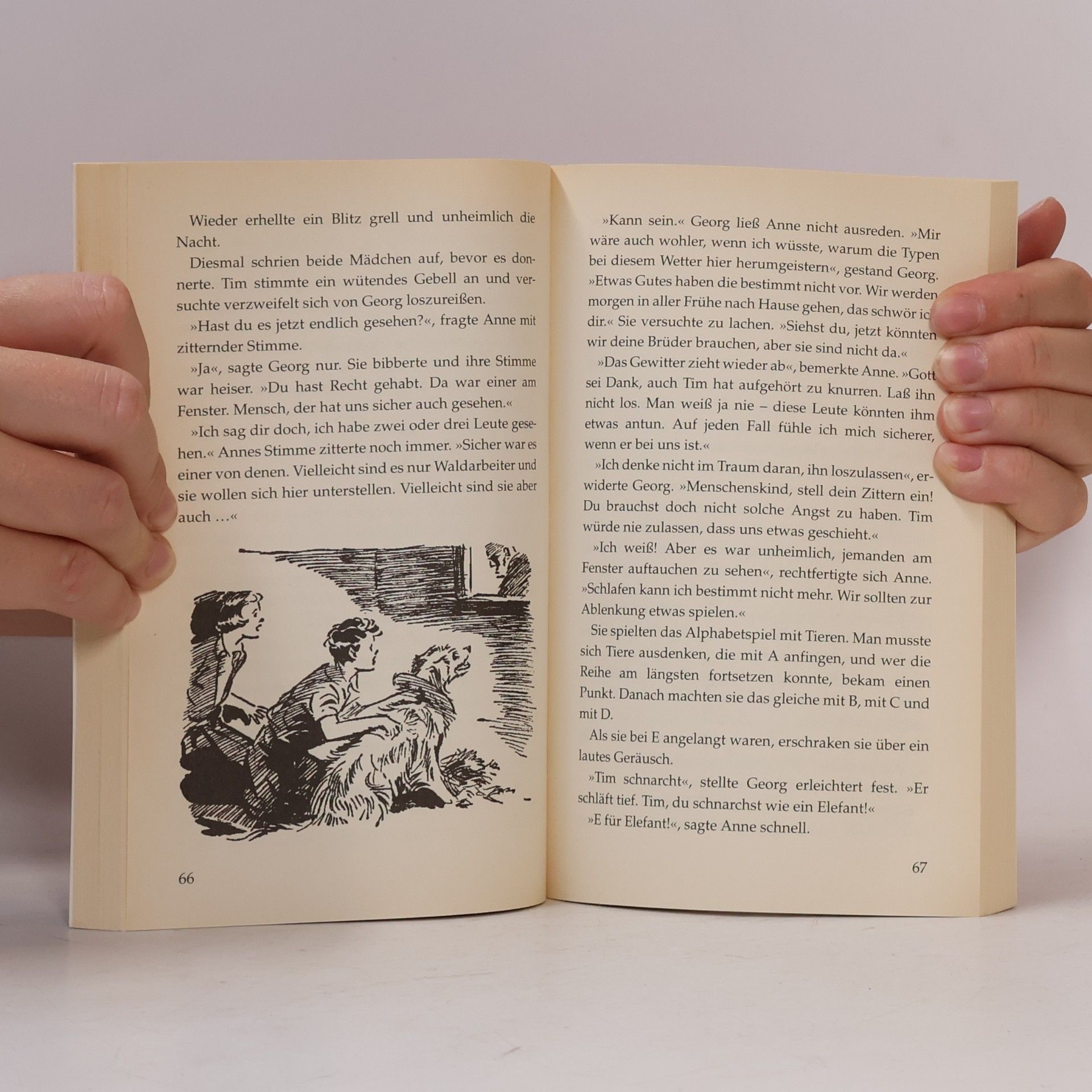 Enid Blyton Fünf Freunde