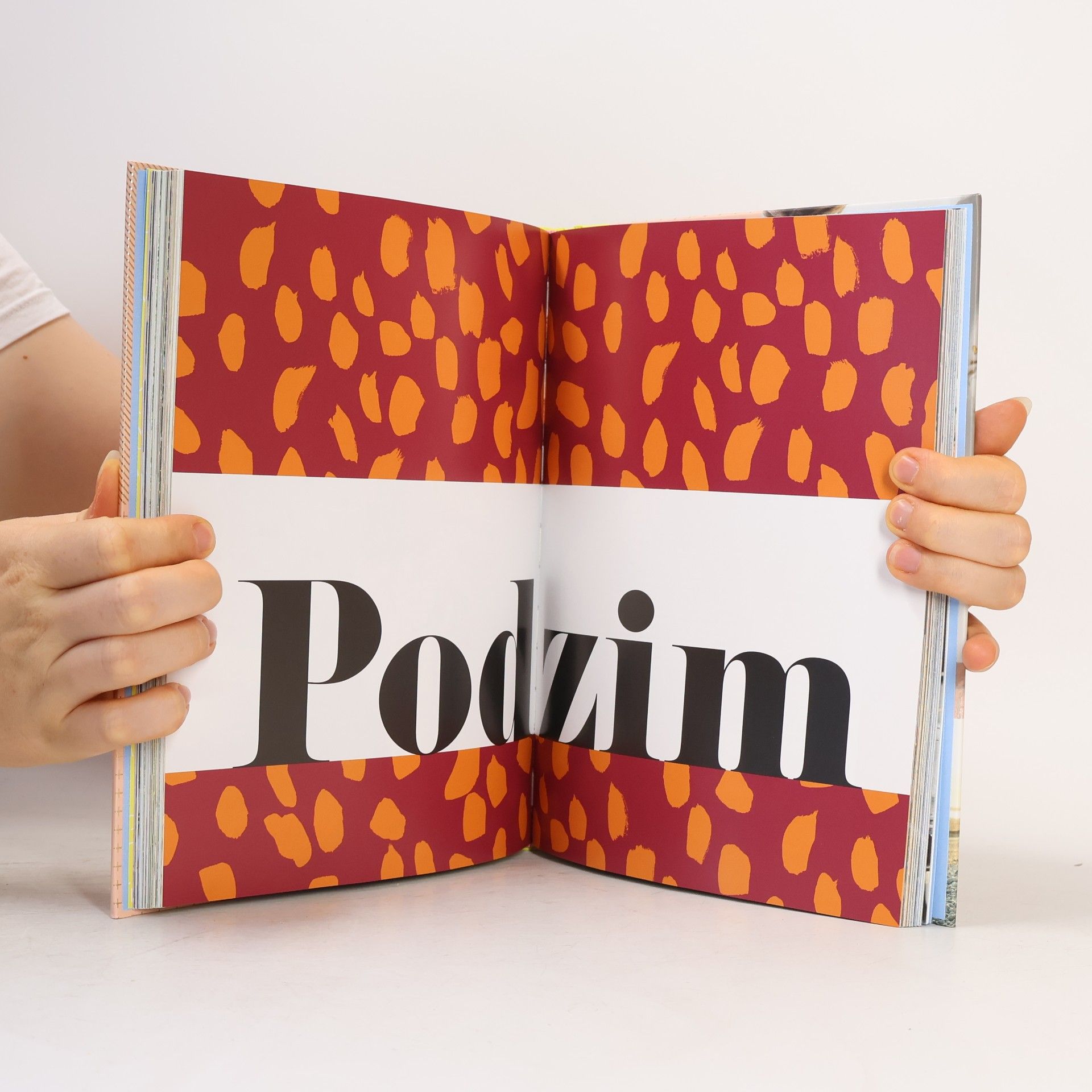 Zoe Sugg Pojďte slavit!