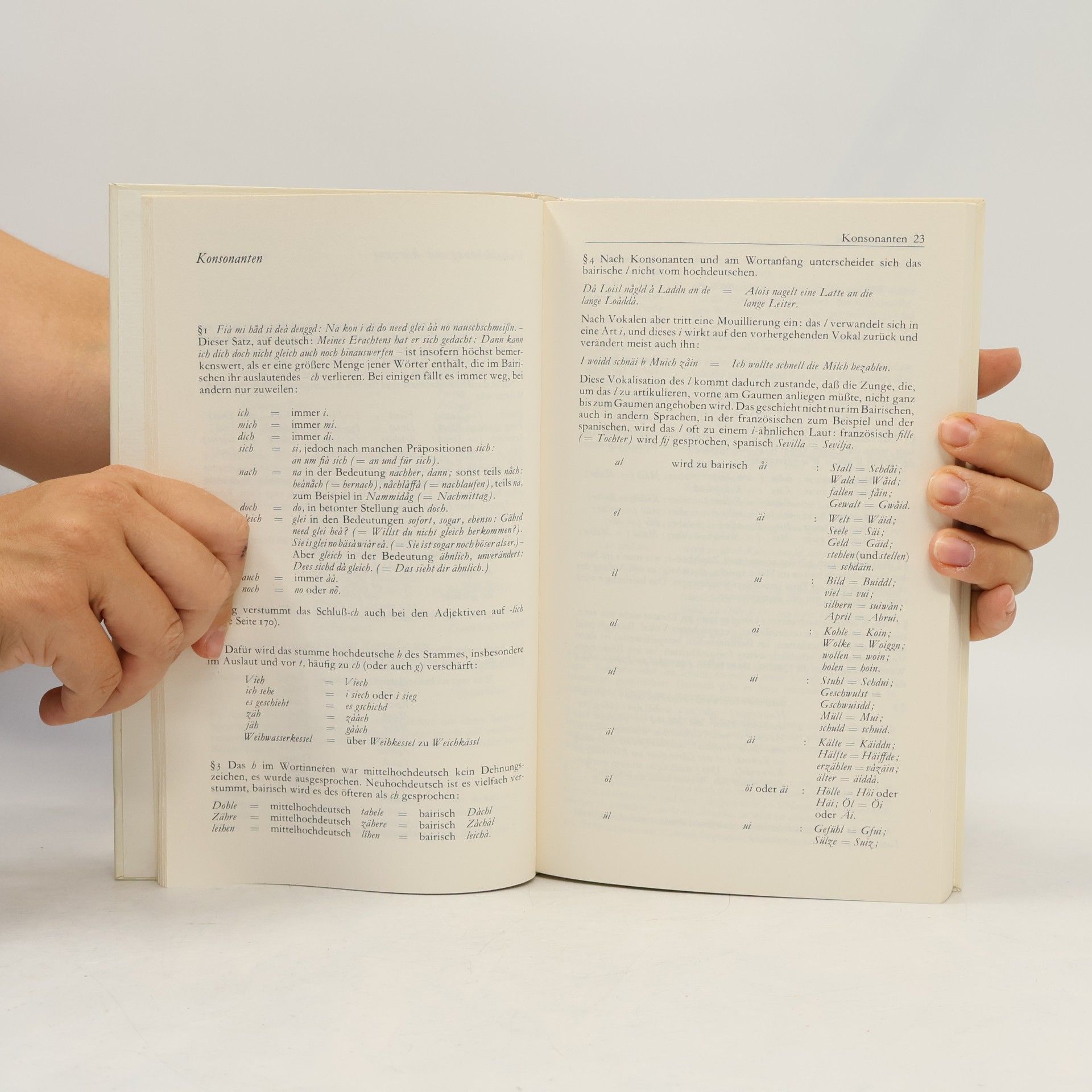 Ludwig Merkle Bairische Grammatik