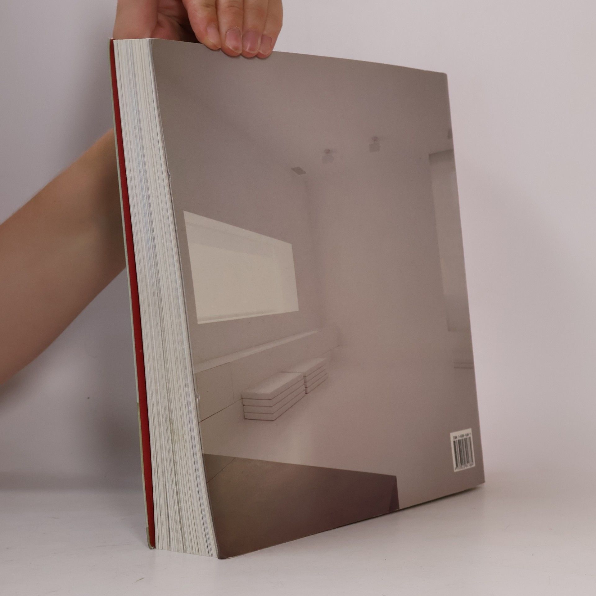 Simone Schleifer Minimalist interiors