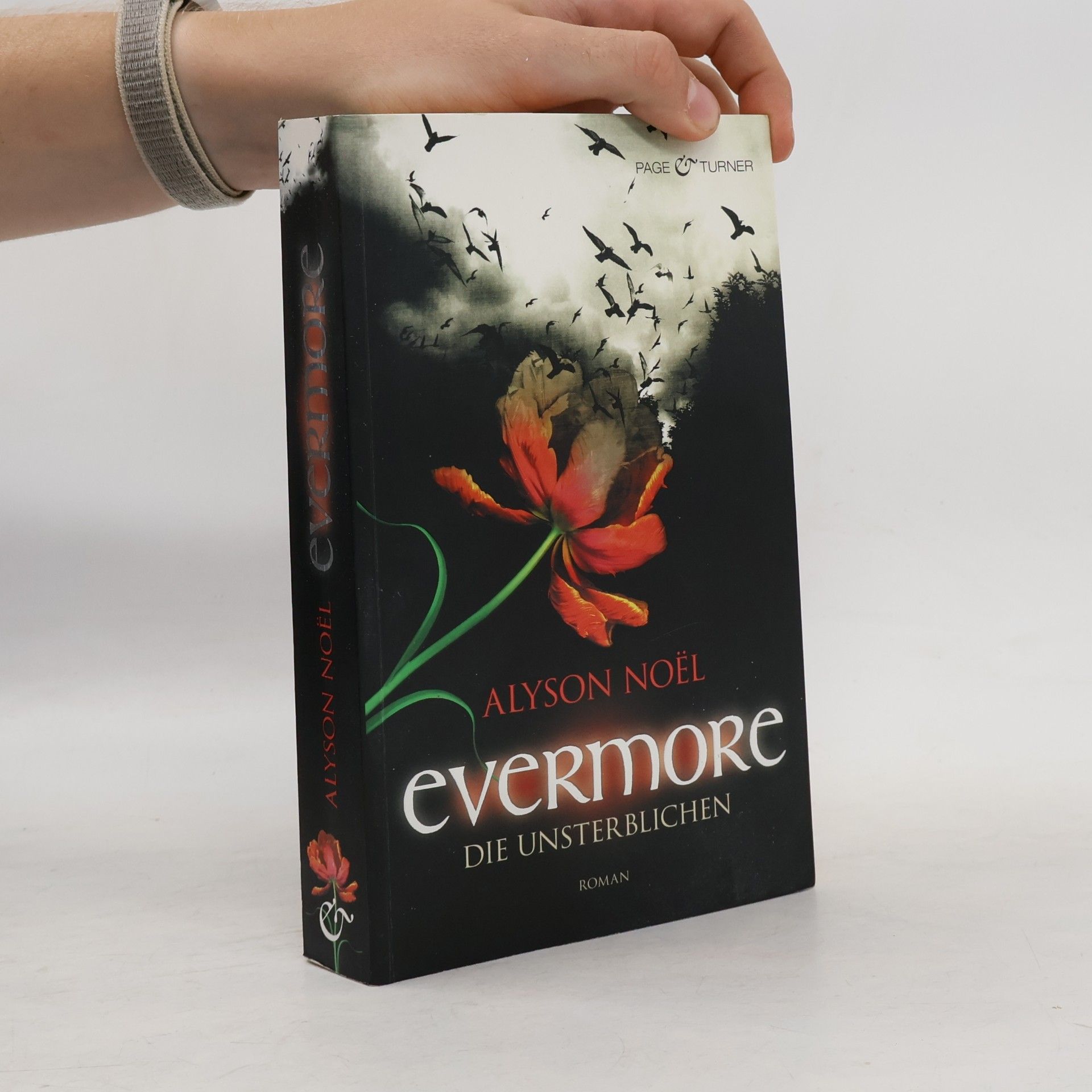 Evermore 1