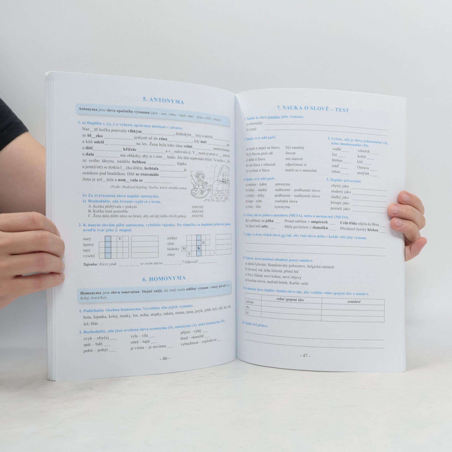 Karla Prátová Procvičujeme češtinu v 7. ročníku : pracovní sešit pro základní školy