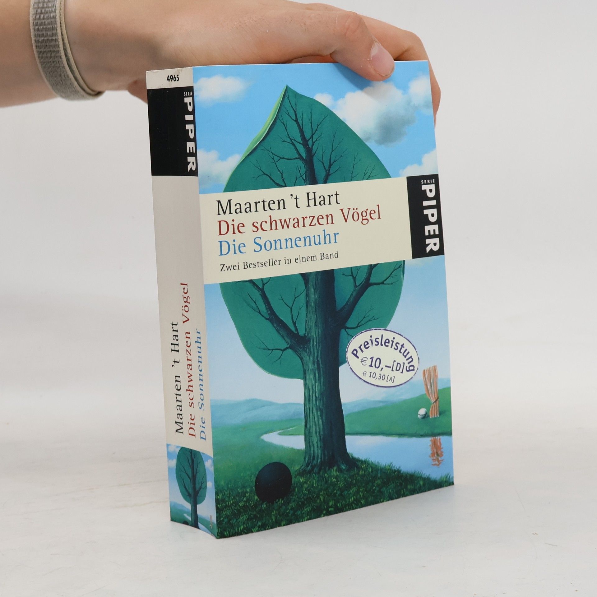 Maarten 't Hart Die schwarzen Vögel