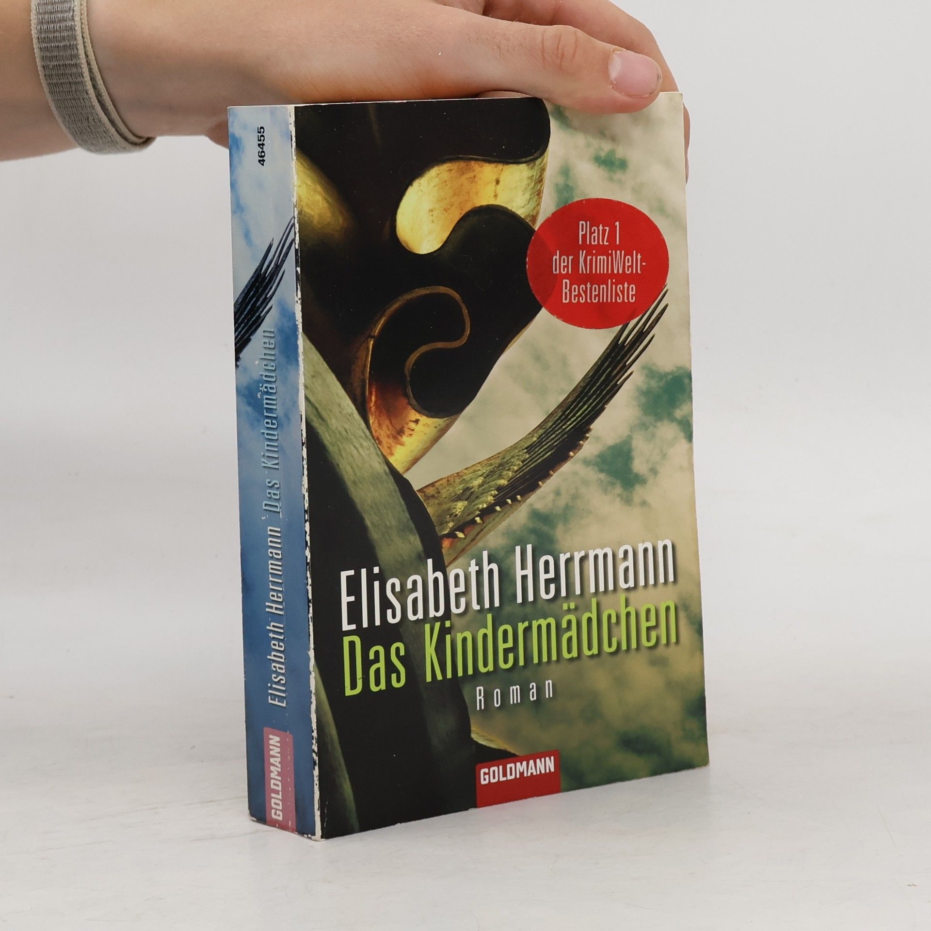 Elisabeth Hermann Das Kindermädchen