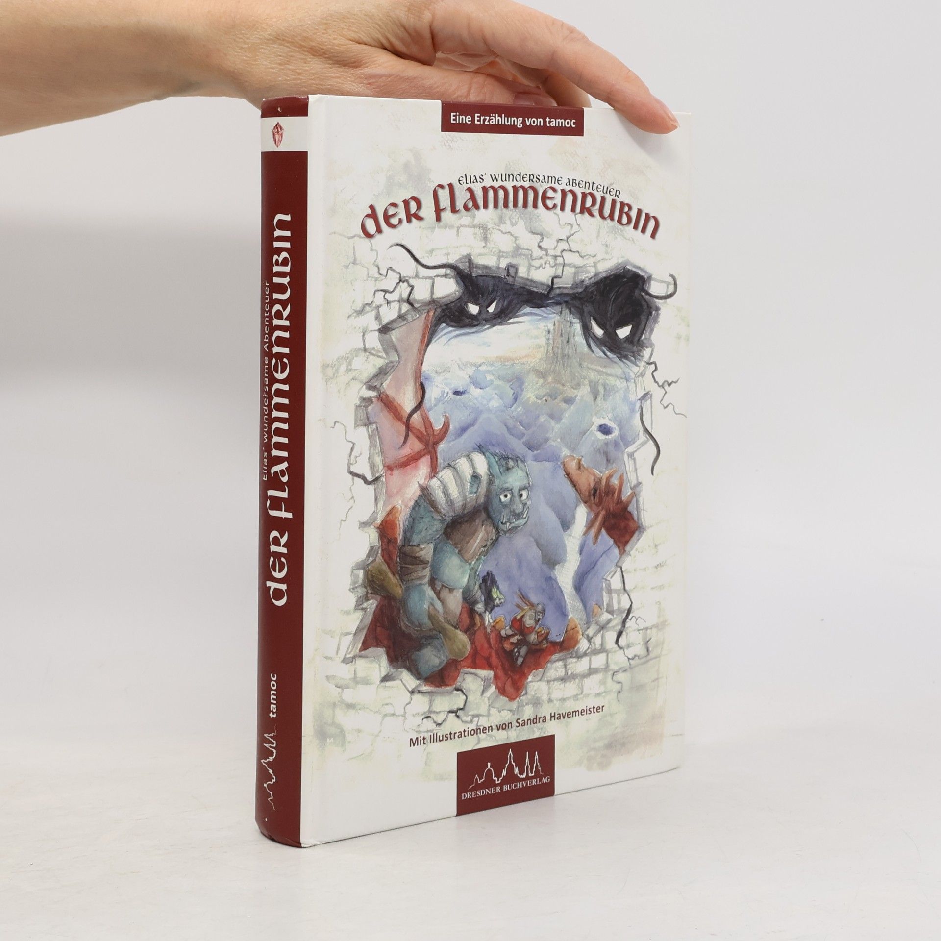 Sandra Havemeister Elias' wundersame Abenteuer. Der Flammenrubin
