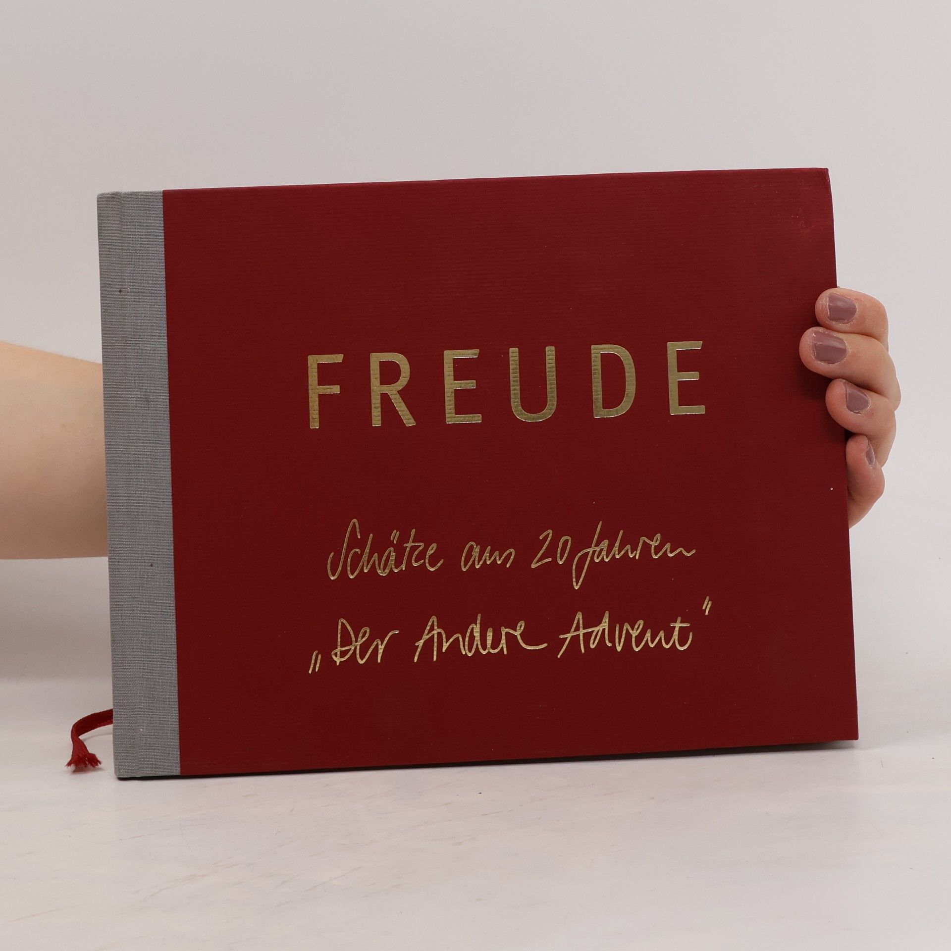 Autorenkollektiv Freude Schätze ans 20 Jahren "Der Andere Advent"