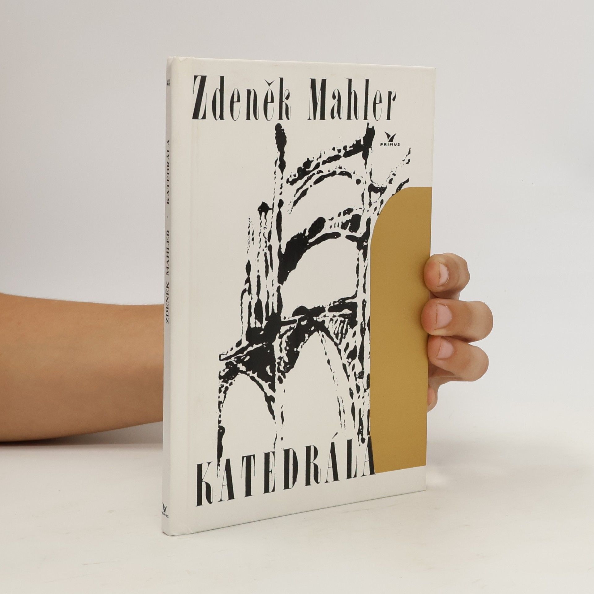 Zdeněk Mahler Katedrála