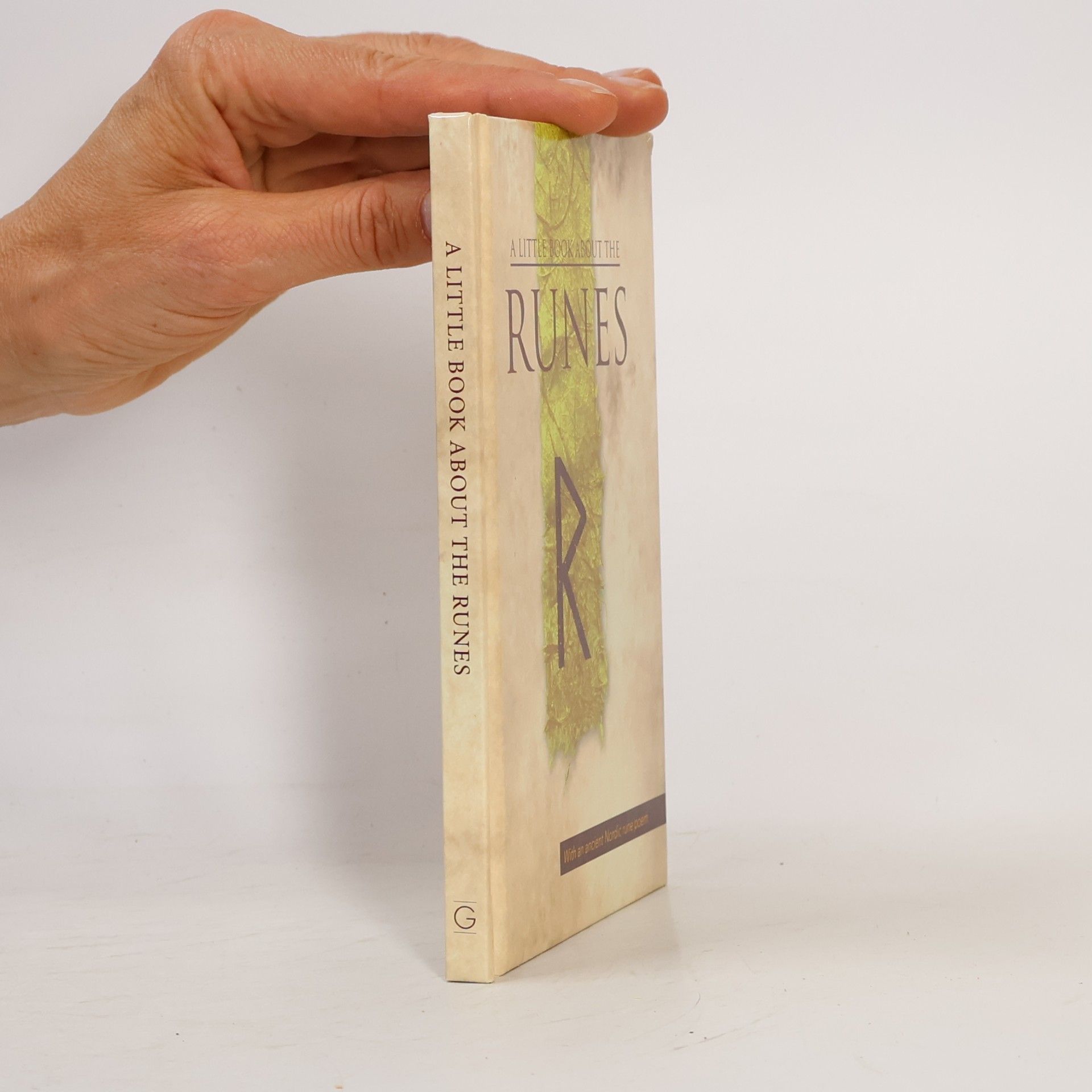 Björn Jónasson A Little Book about the Runes
