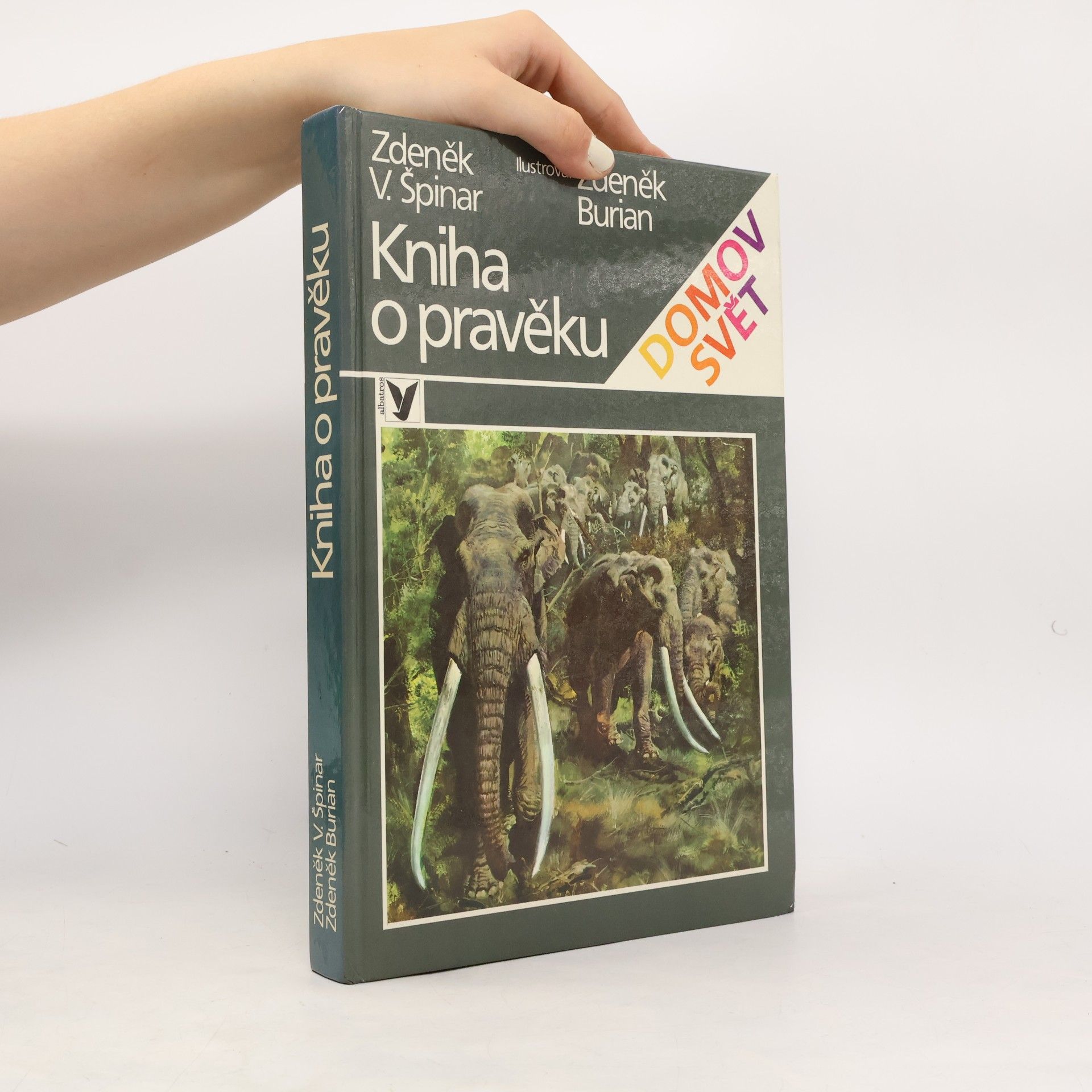 Kniha o pravěku