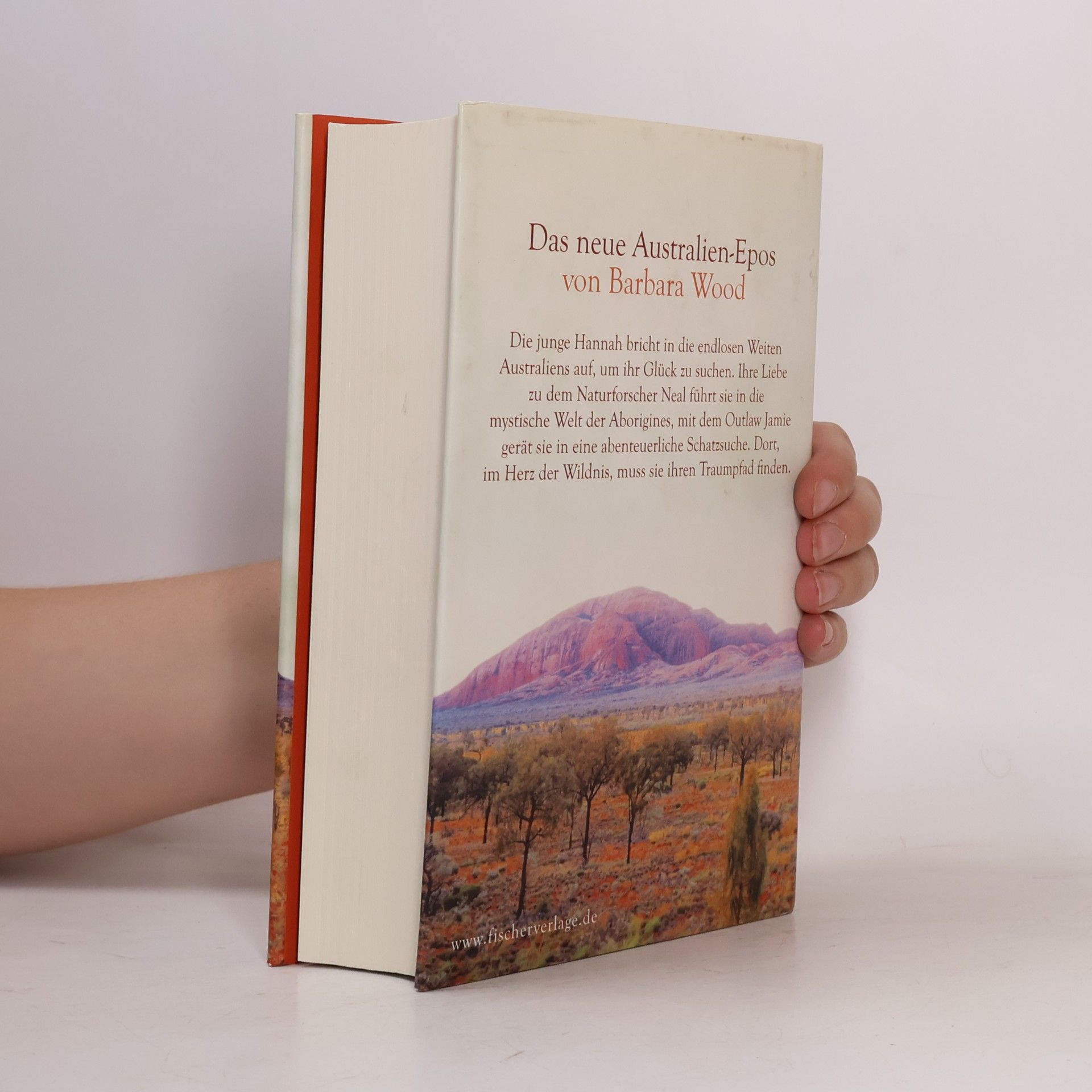 Barbara Wood Dieses goldene Land
