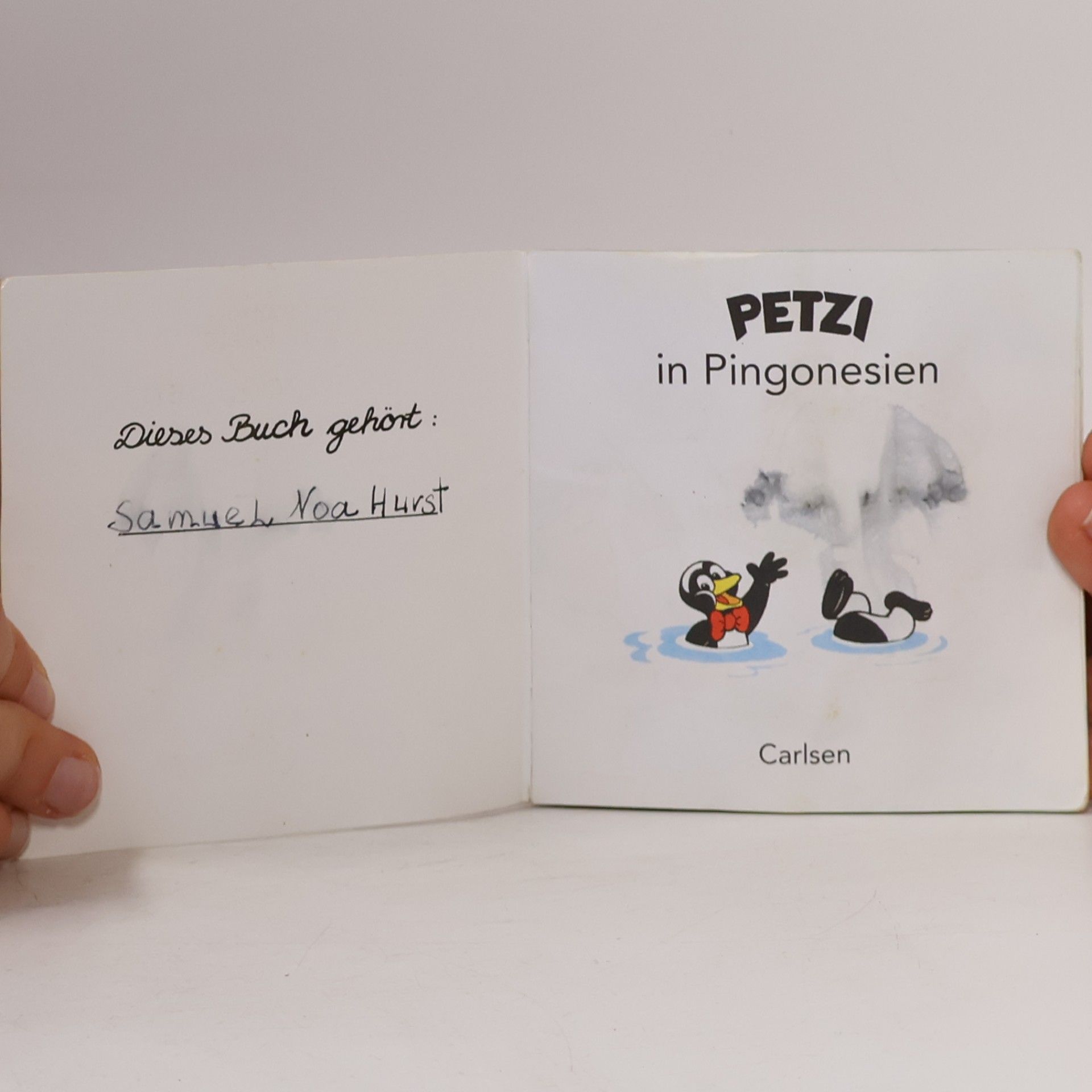 Autorenkollektiv Petzi sucht die Sonne