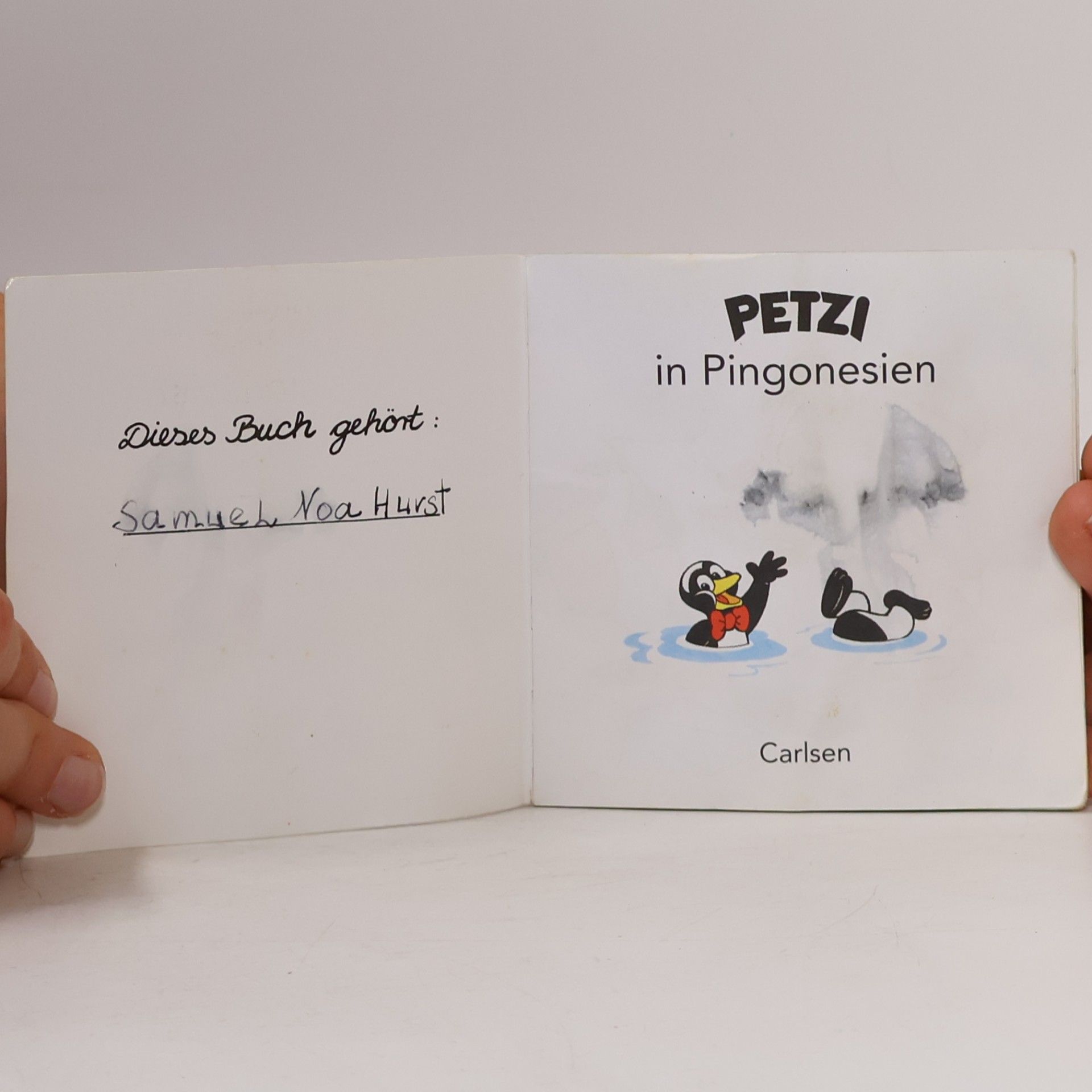 Autorenkollektiv Petzi sucht die Sonne