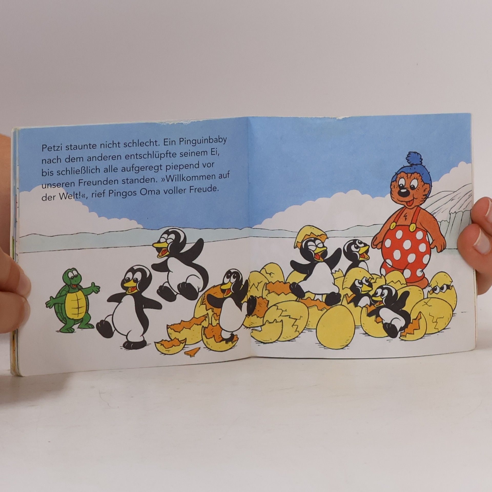 Autorenkollektiv Petzi sucht die Sonne