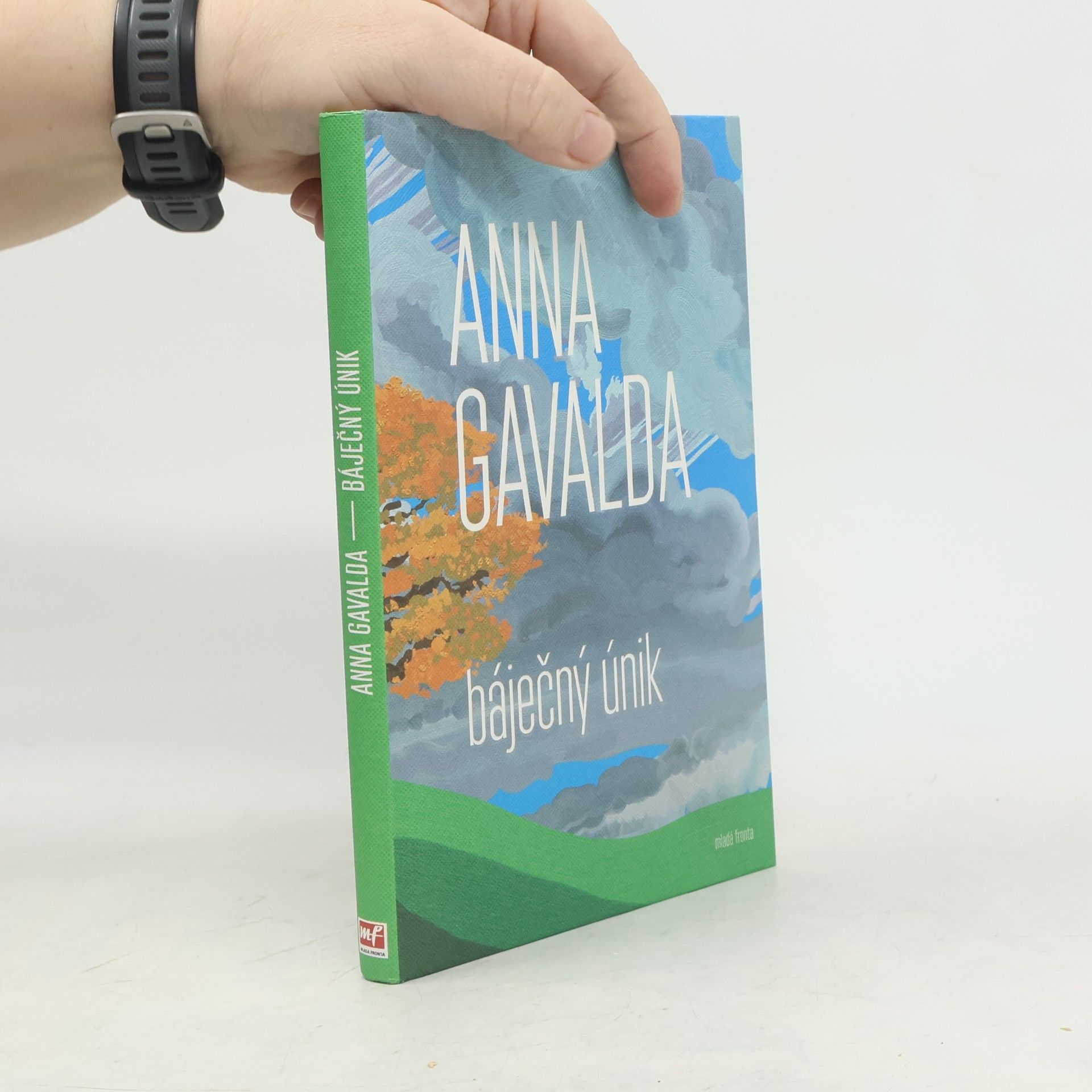 Anna Gavalda Báječný únik