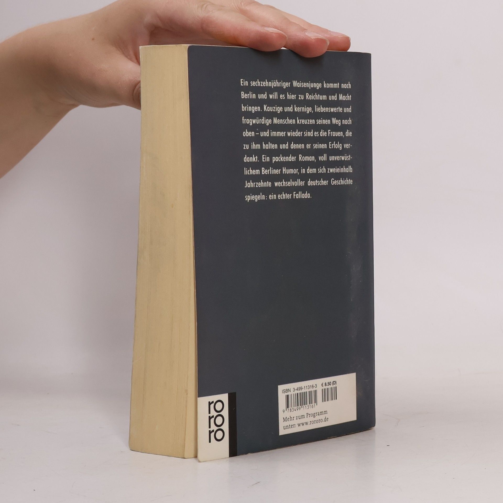 Hans Fallada Ein Mann will nach oben