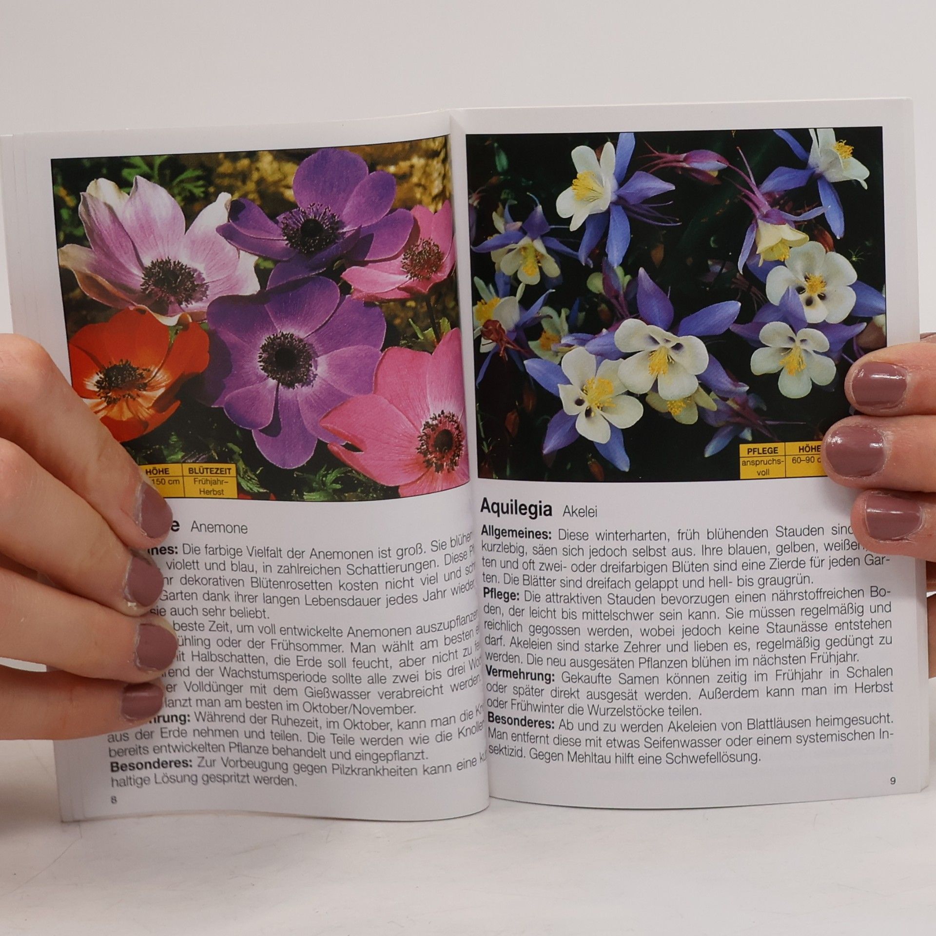 Various authors Mehr Freude mit... Blütenpracht im Garten
