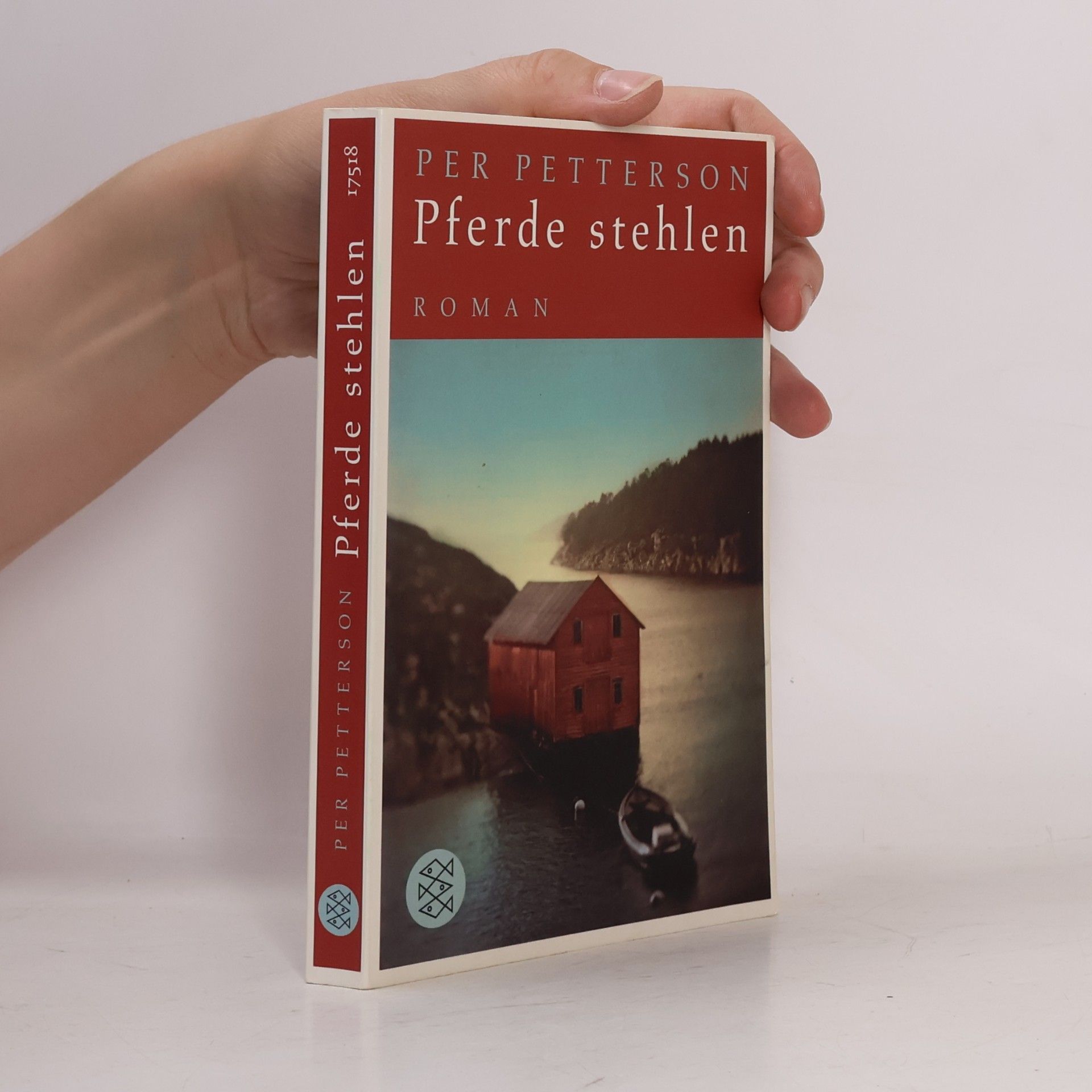 Per Petterson Pferde stehlen